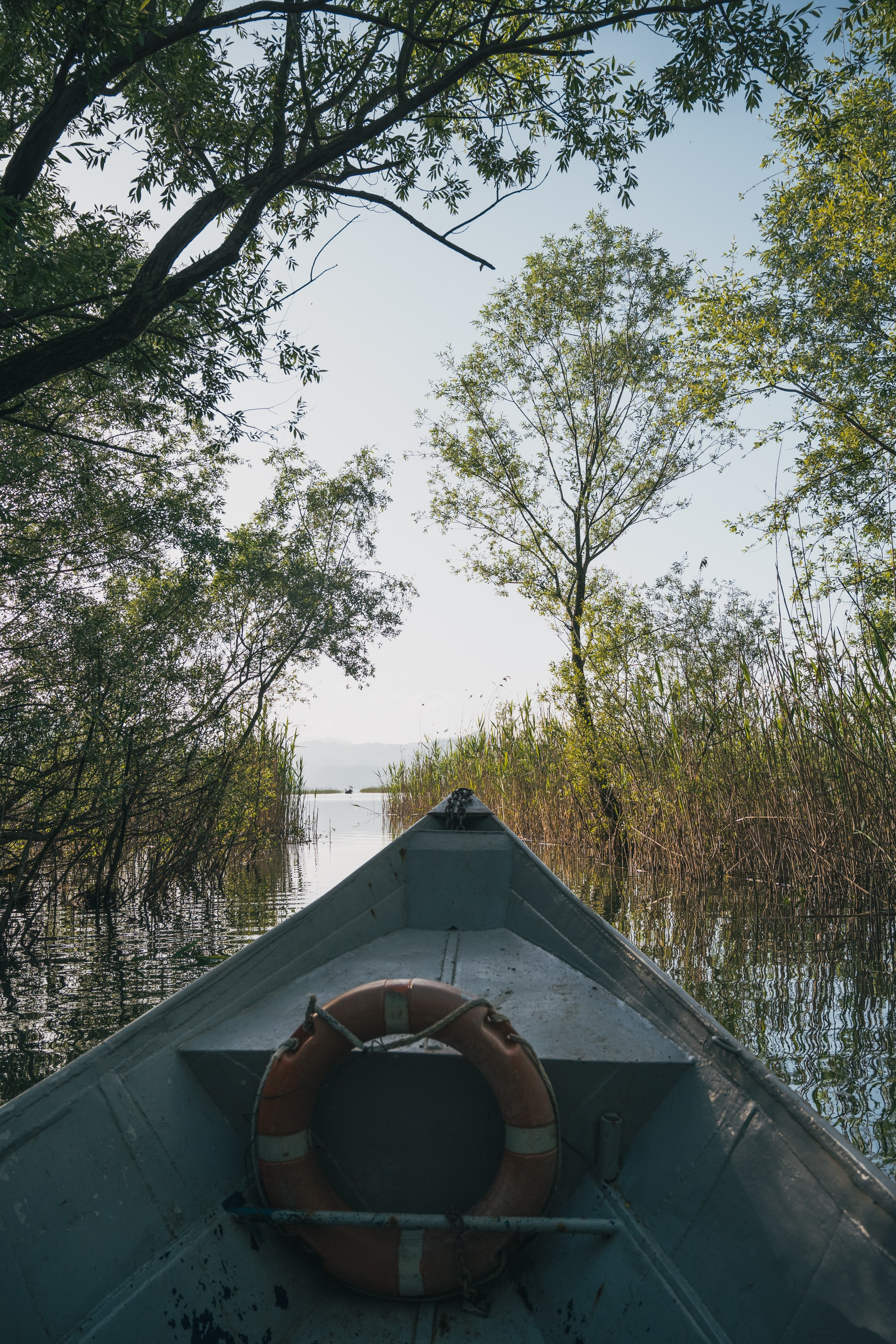 СКАДАРСКОЕ ОЗЕРО. ЧЕРНОГОРИЯ. Фотограф в Белграде Чугреева Елена
