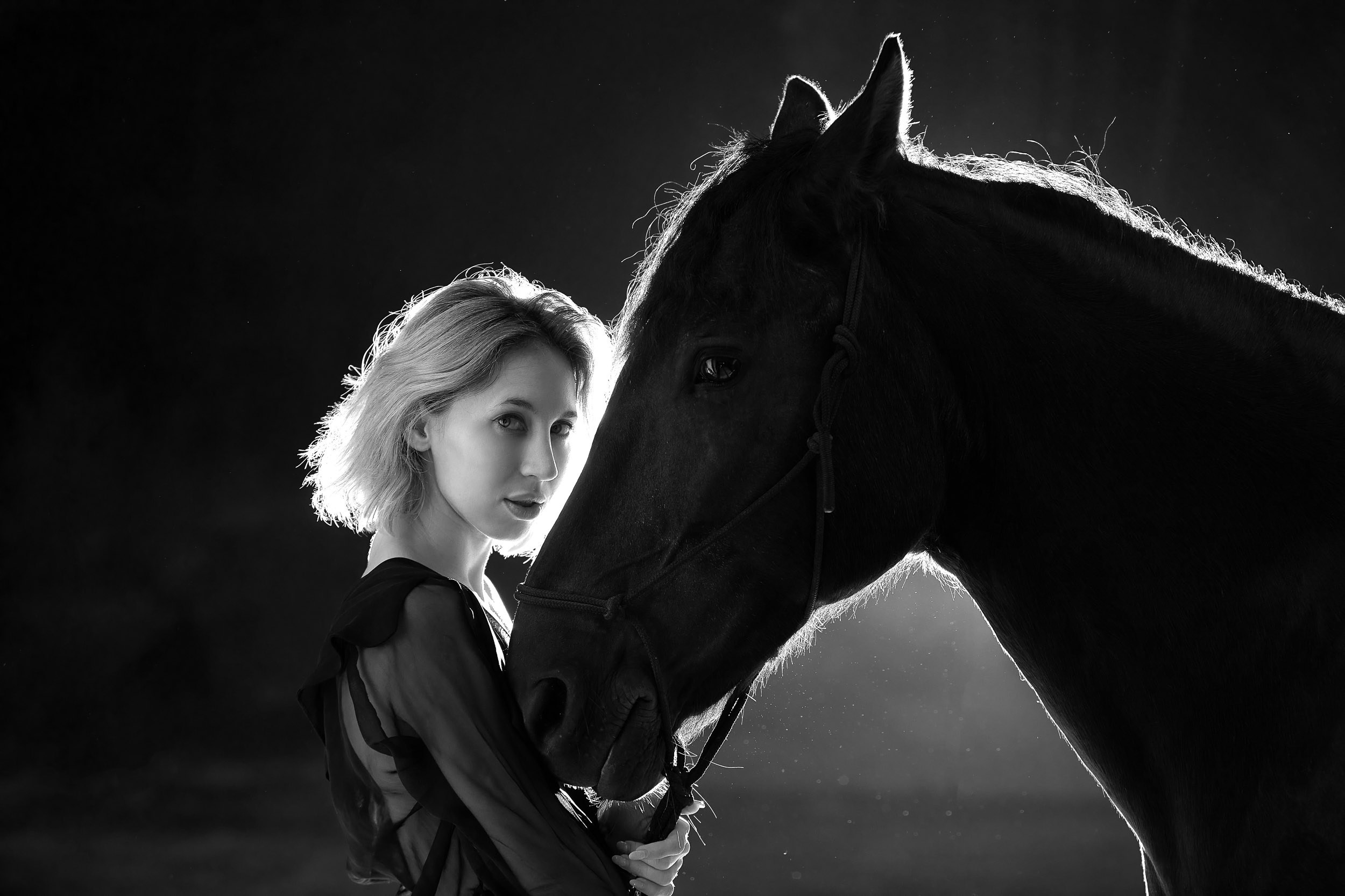 Фотопроекты и съемки на природе, с лошадьми, самолетами и авто. Выездная фотосессия. Фотограф, фотопроекты Михаила Семенова в Ярославле. Фотошкола