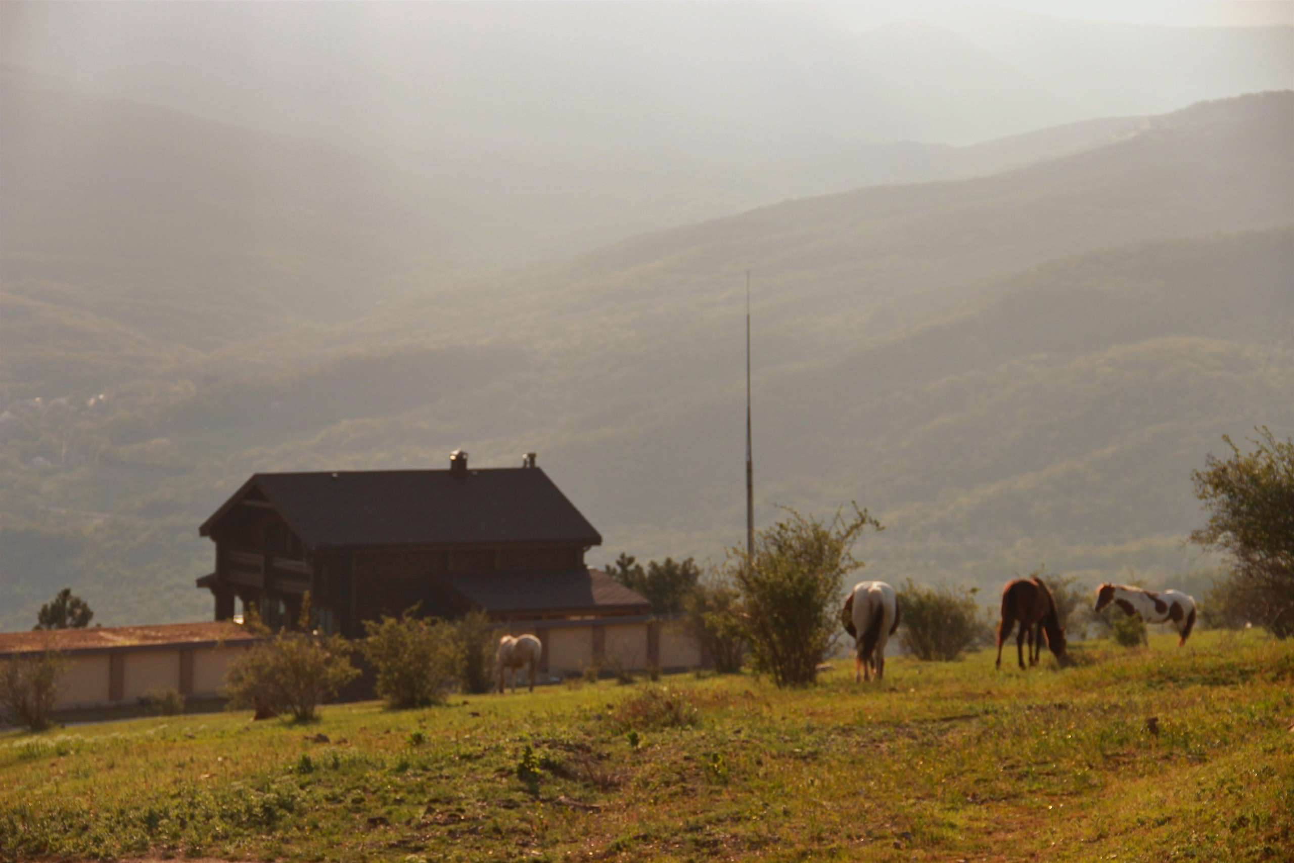 Крым. Фотограф и видеограф в Санкт-Петербурге