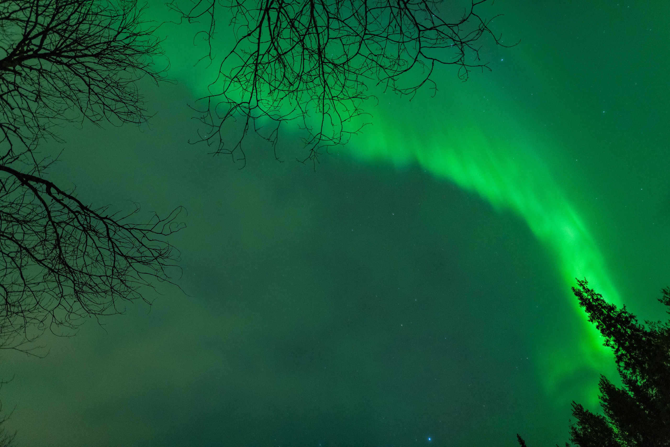 Полярное Сияние. Северные Ночи
