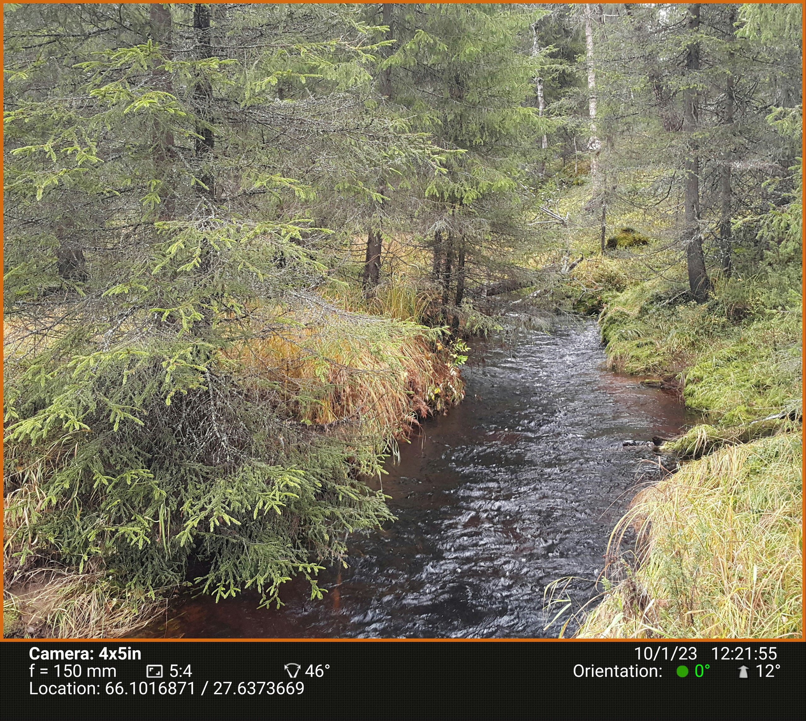 Березовый пруд. Северные Ночи