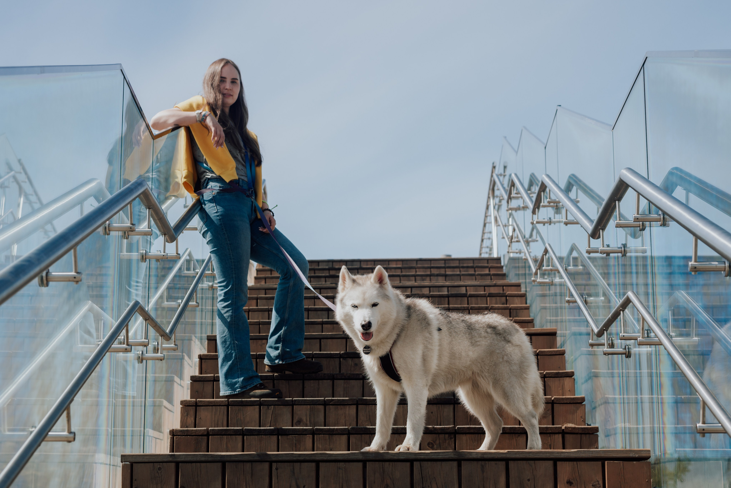 Фотодень с хаски. Фотограф в Санкт-Петербурге и Ленинградской области