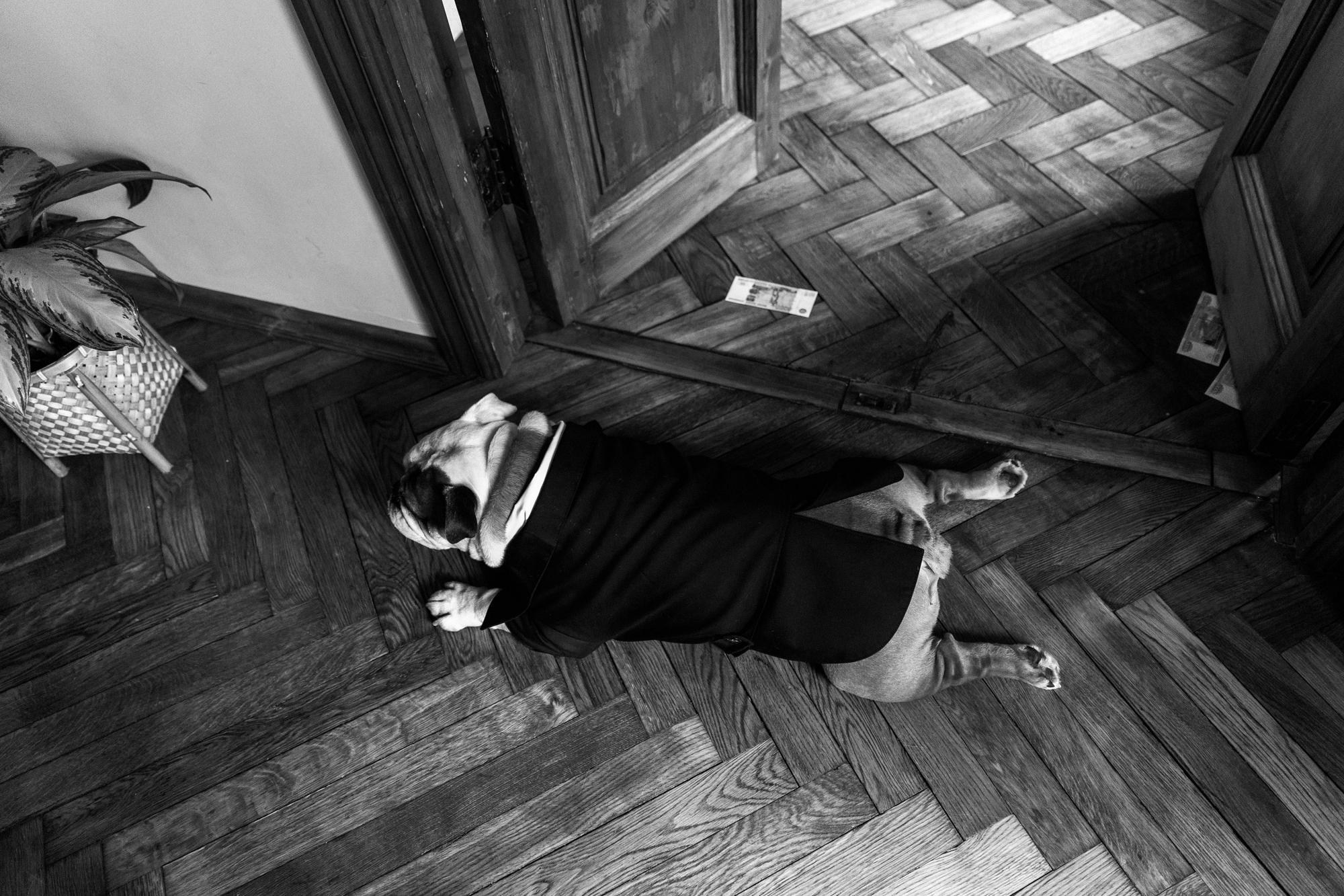ДЕНИС | ЯНА. Свадебный фотограф в Санкт‑Петербурге Елена Пчельникова