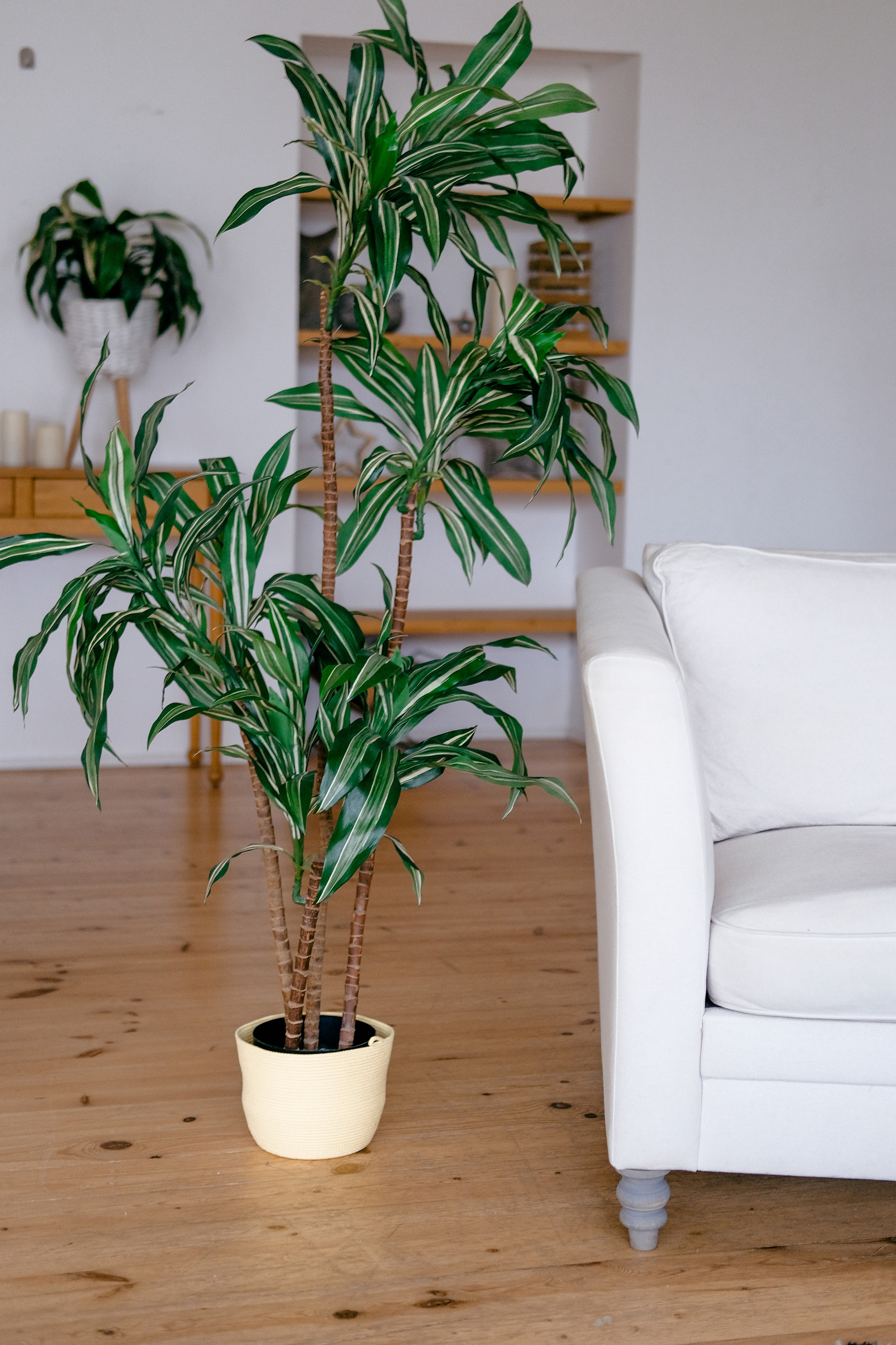 Macrome. Свадебный и портретный фотограф в Санкт-Петербурге Варламова Татьяна