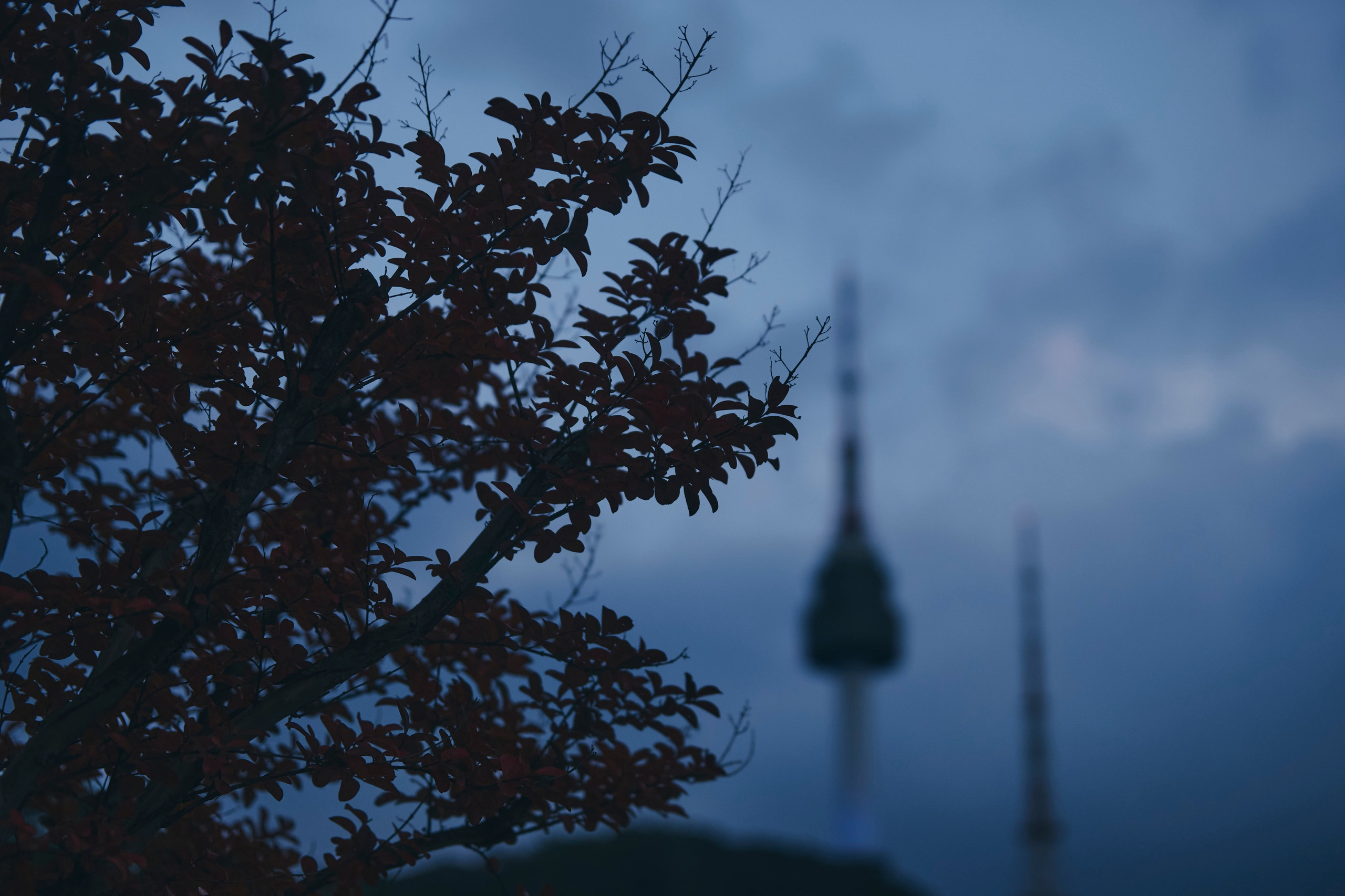 TRAVEL. Фотограф Наталья Леонова