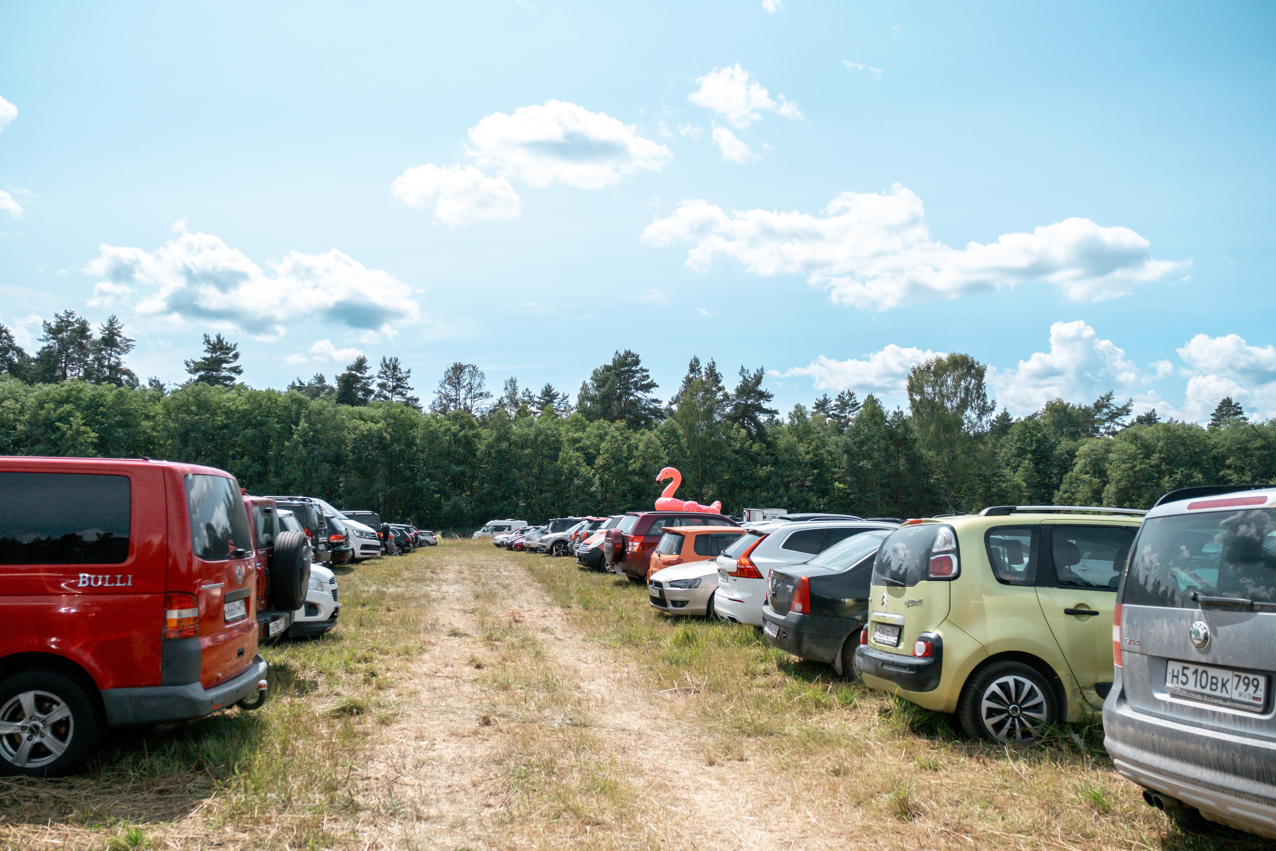Фестиваль «Бессонница» 2023. Семейный и детский фотограф в Москве Светлана Потемкина