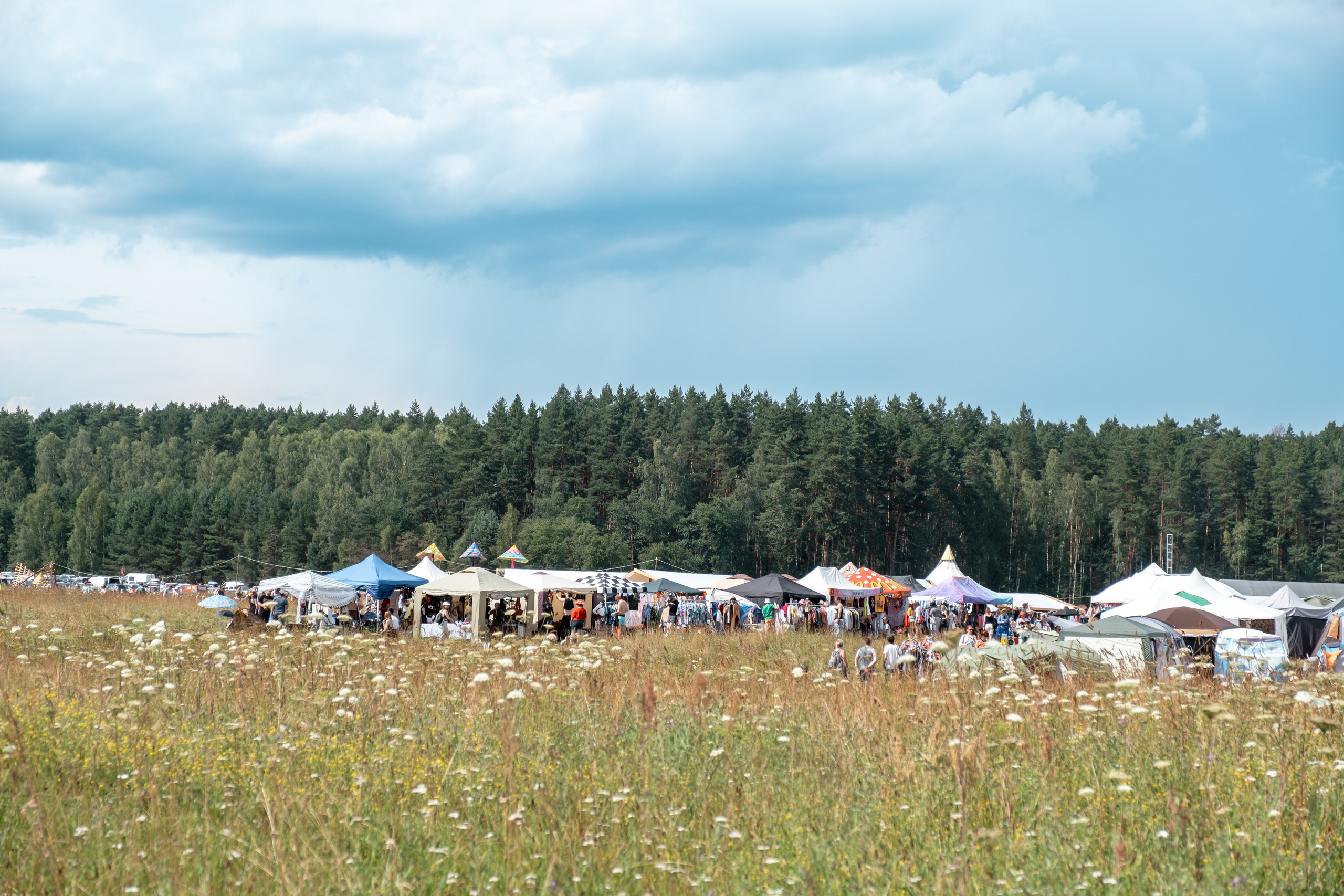 Фестиваль «Бессонница» 2023. Семейный и детский фотограф в Москве Светлана Потемкина