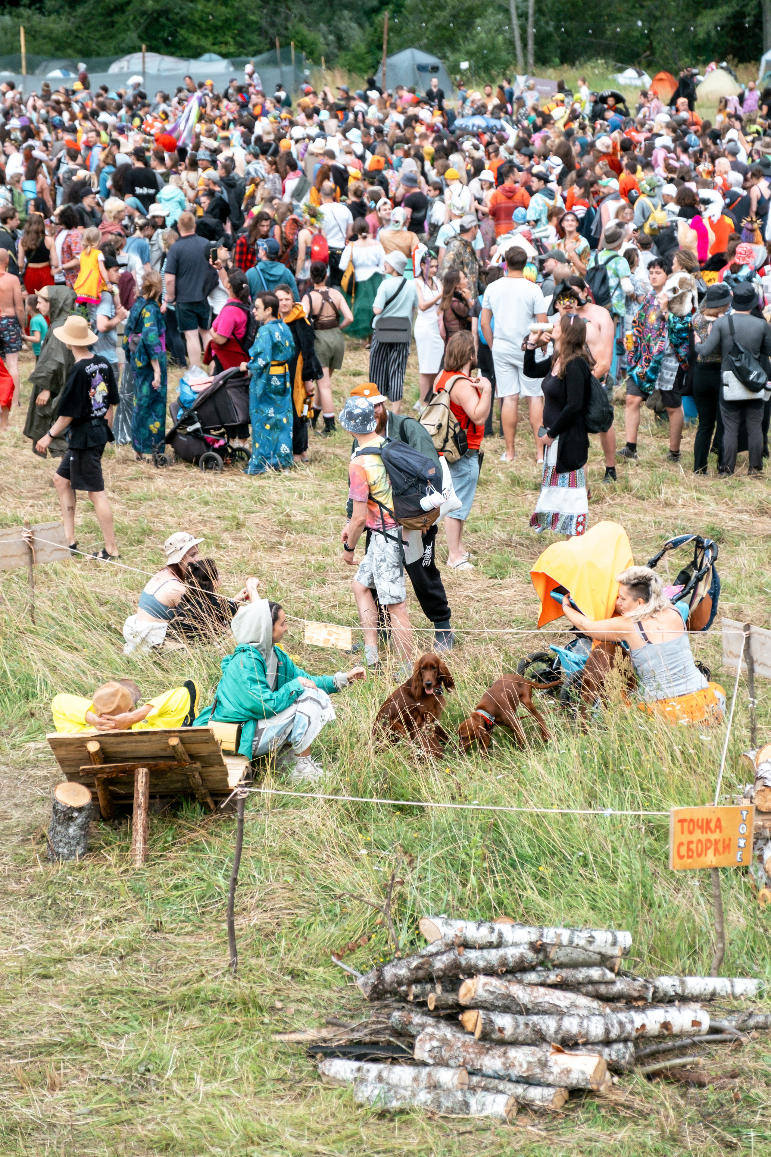 Фестиваль «Бессонница» 2023. Семейный и детский фотограф в Москве Светлана Потемкина