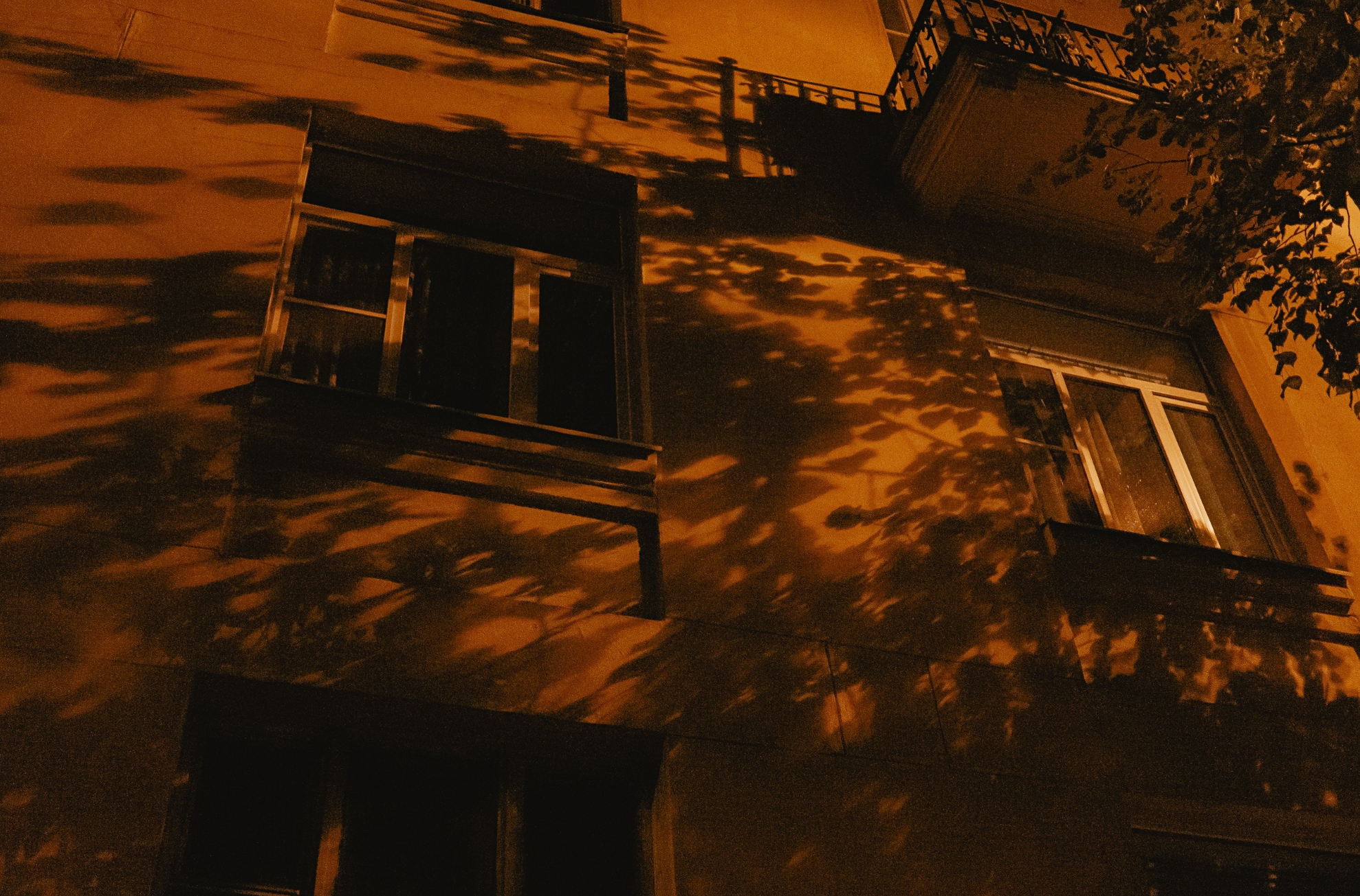 I should have said something…. Фотограф Cyberkyrie