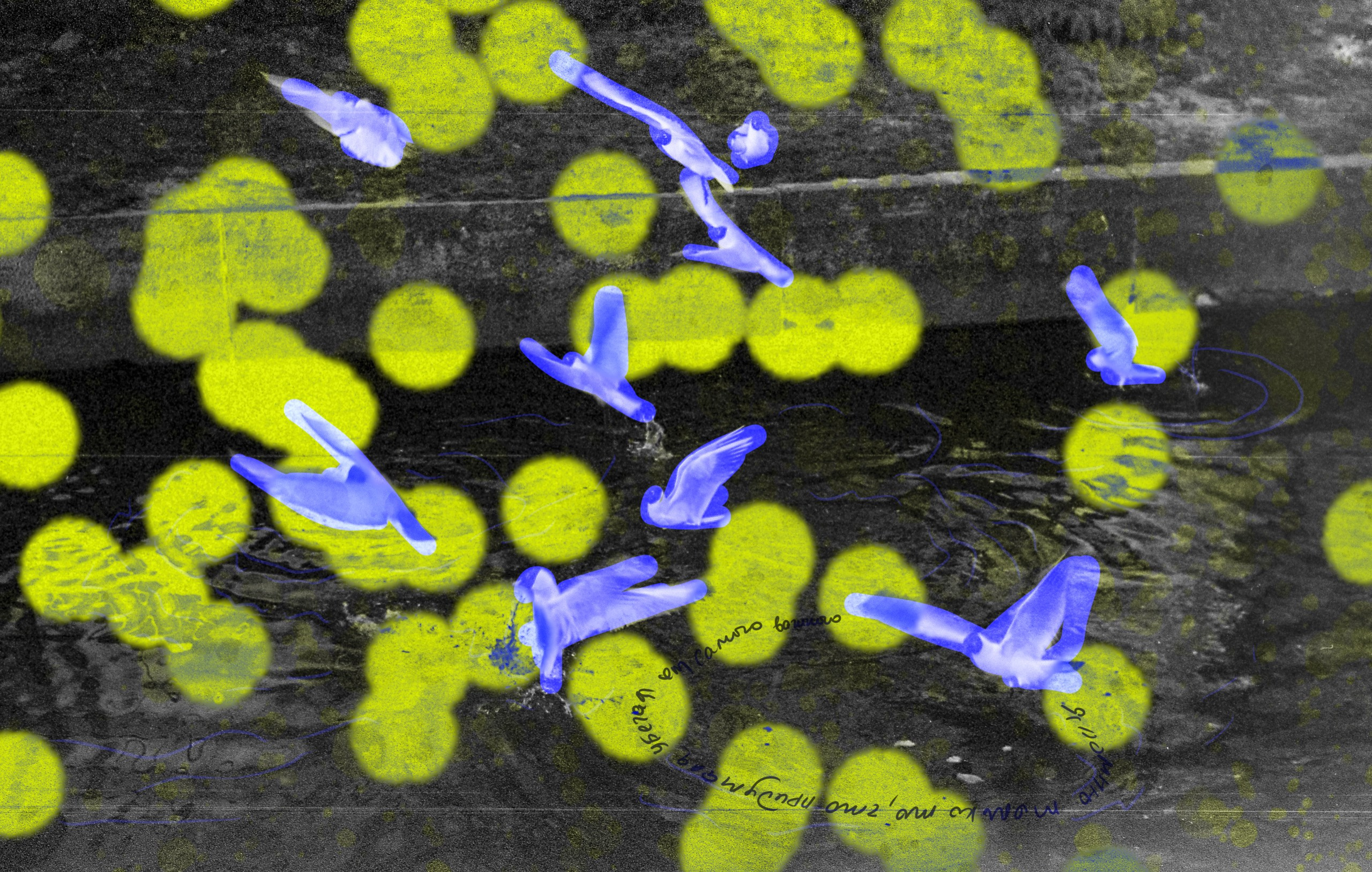 Словами дорога вдаль. Фотограф Cyberkyrie