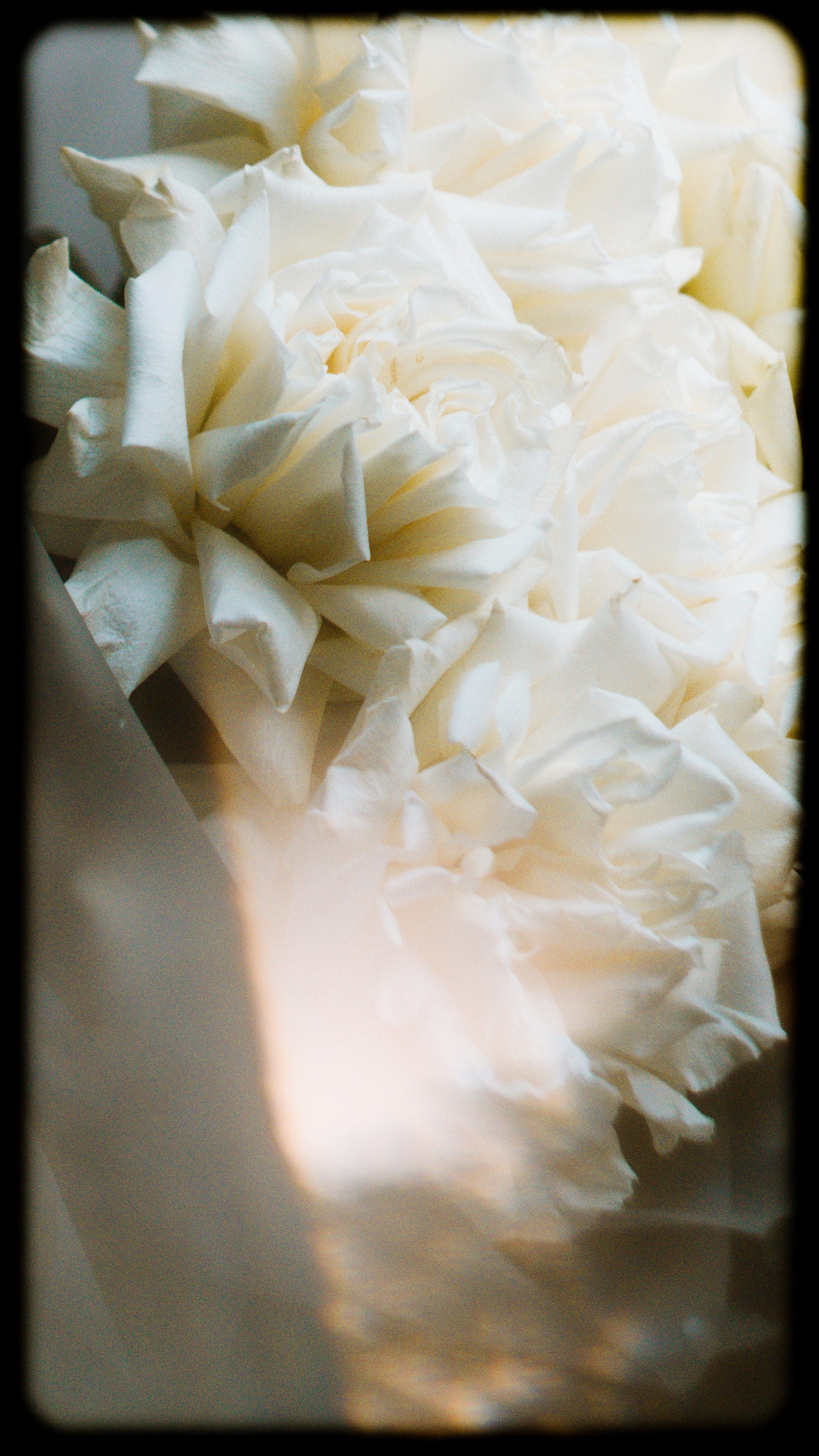 Wallpapers. Фотограф Казань