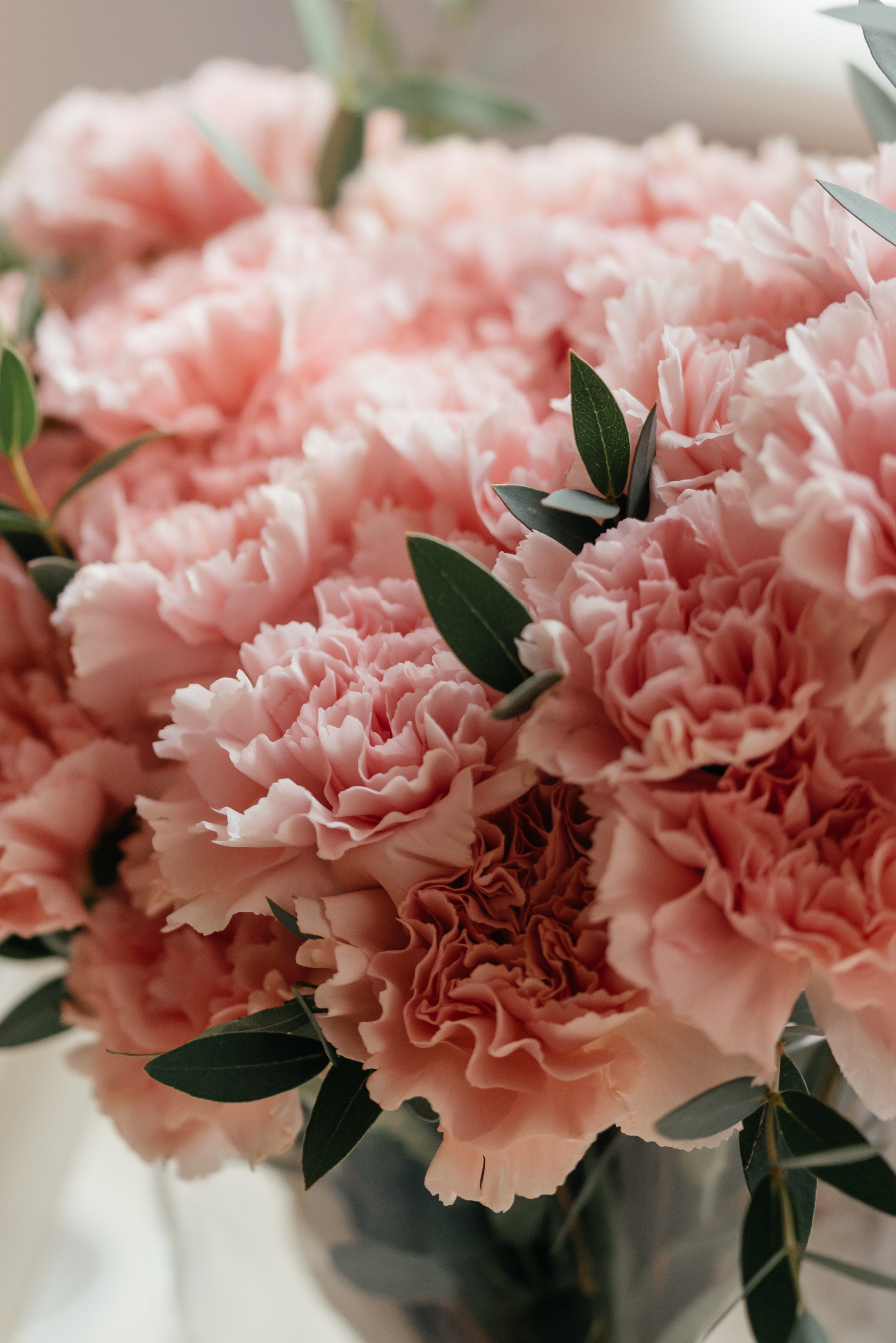 Алексей и Эльвира. Свадебный и студийный фотограф Ирина Котикова