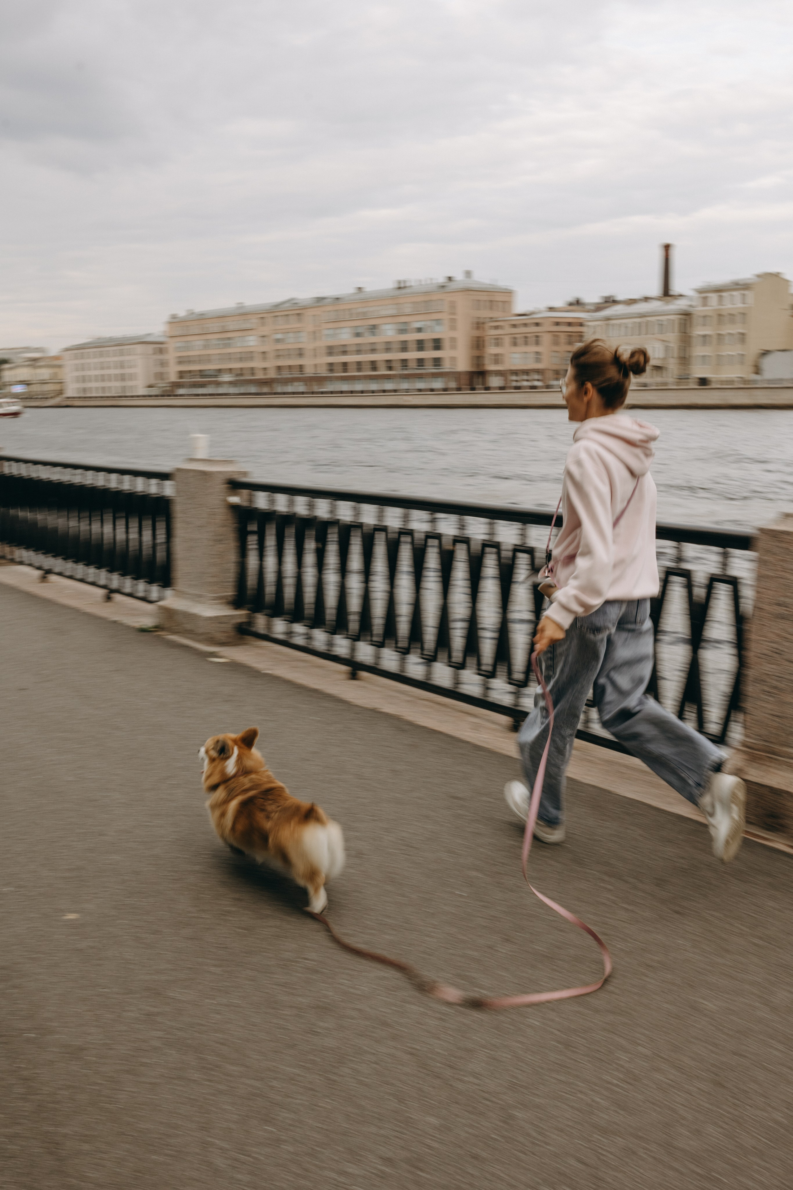 Пресеты. Фотограф — Анималист | Санкт-Петербург