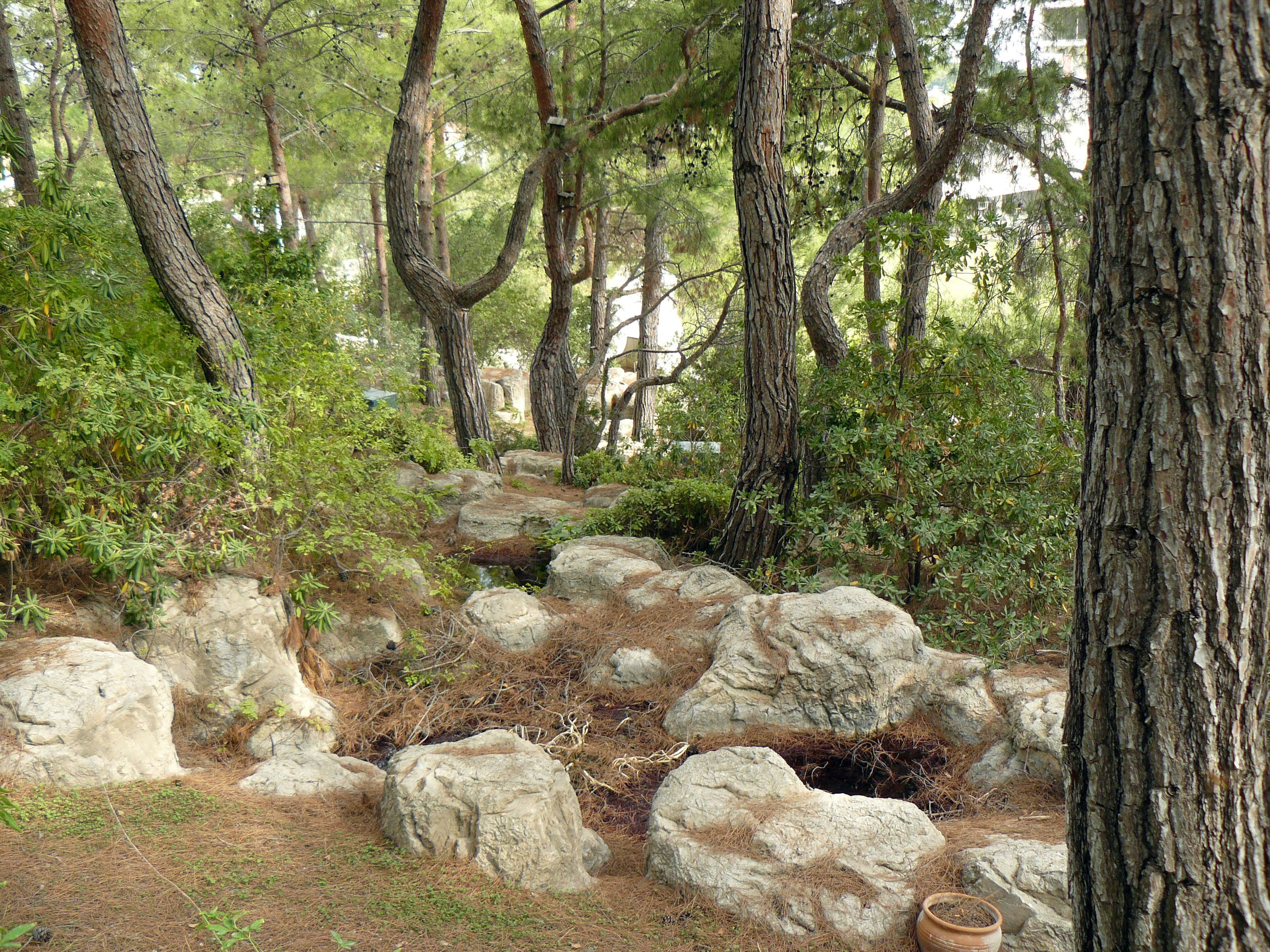 Кемер, Чамьюва 2008. Избранные фотографии