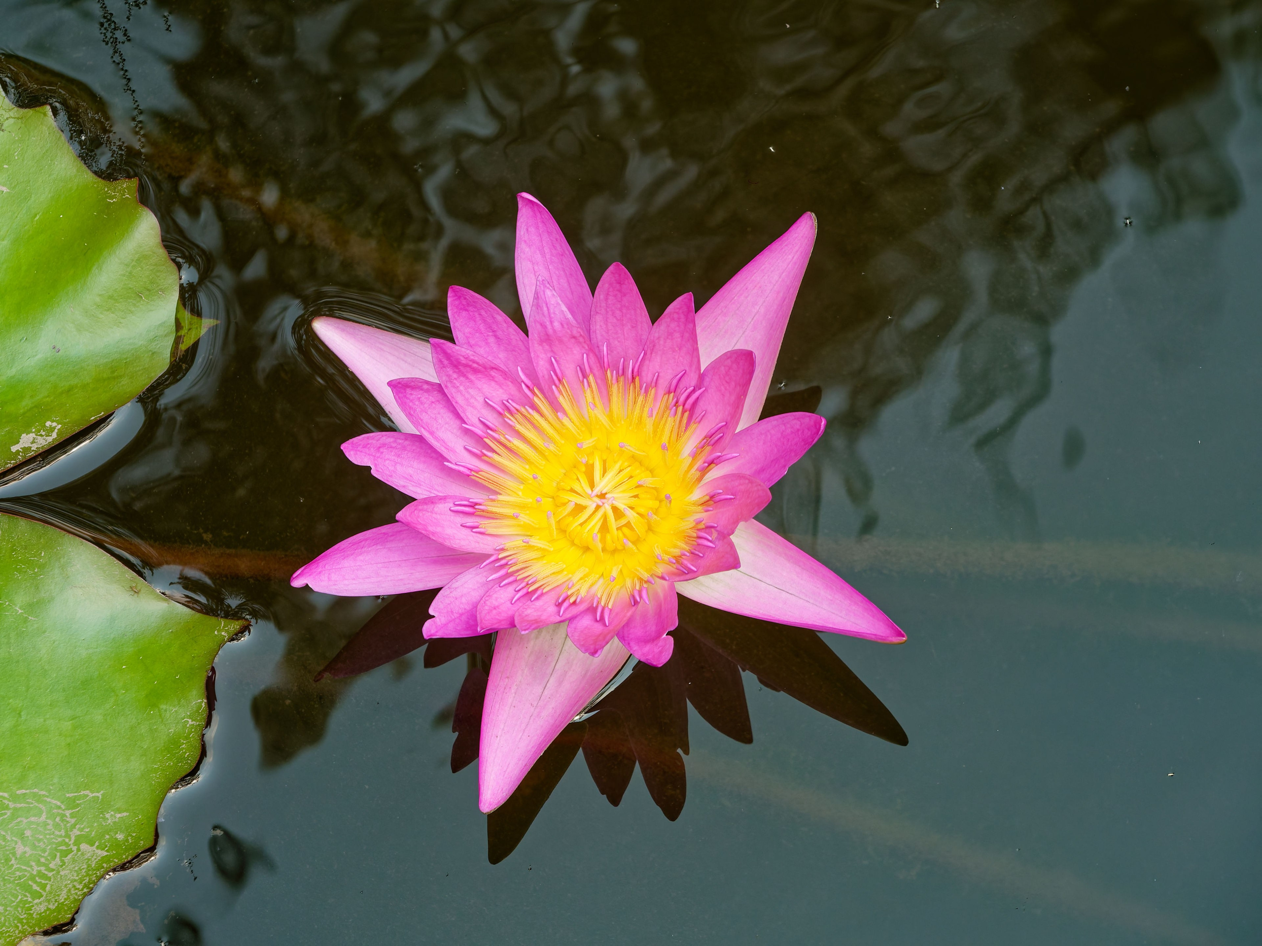 Хайнань 2026, отель «Stony Brook Villa Jianguo Resort Sanya 4*». Фотопрогулки по Миру