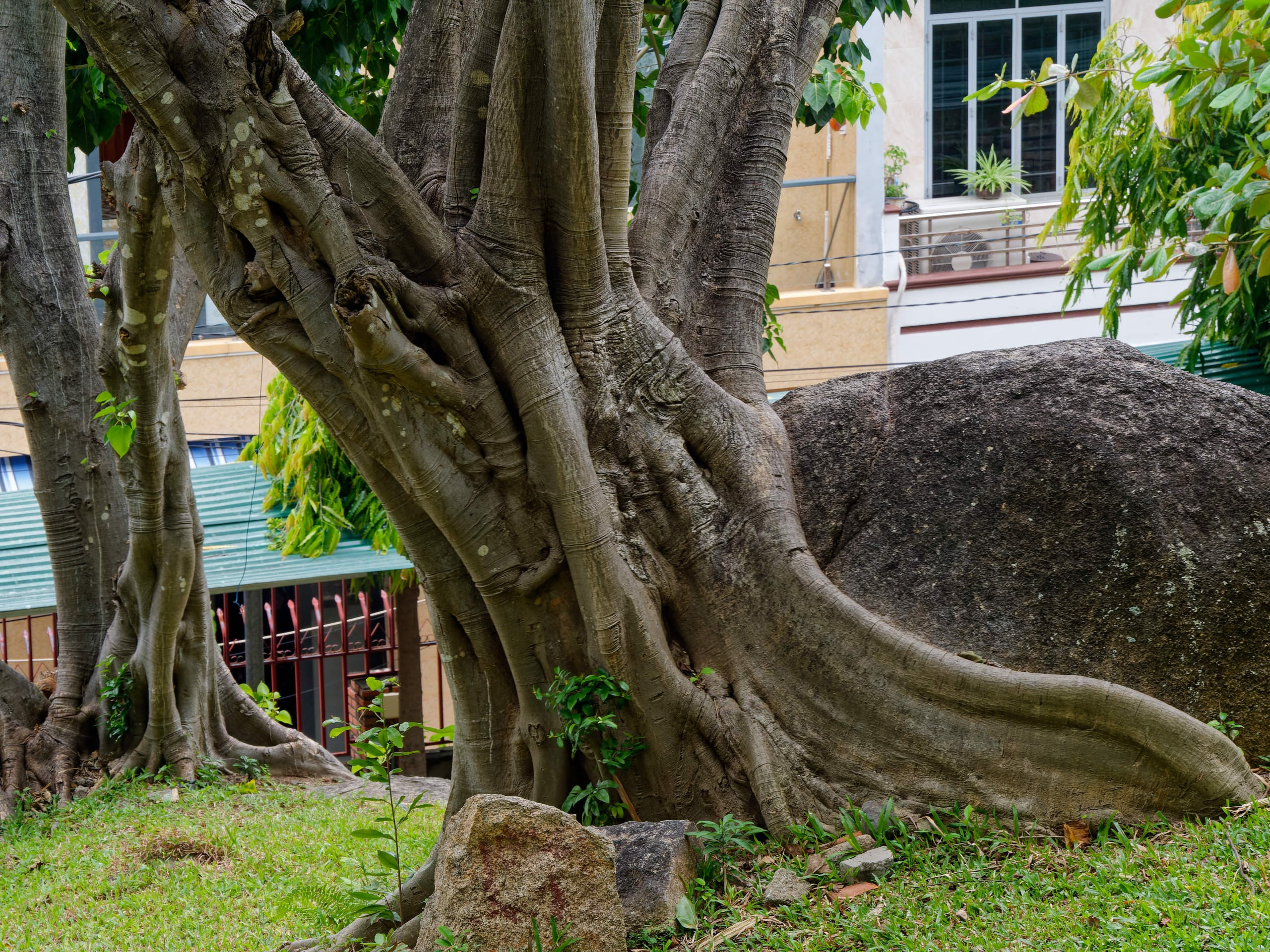 Нячанг 2025 (4). Избранные фотографии