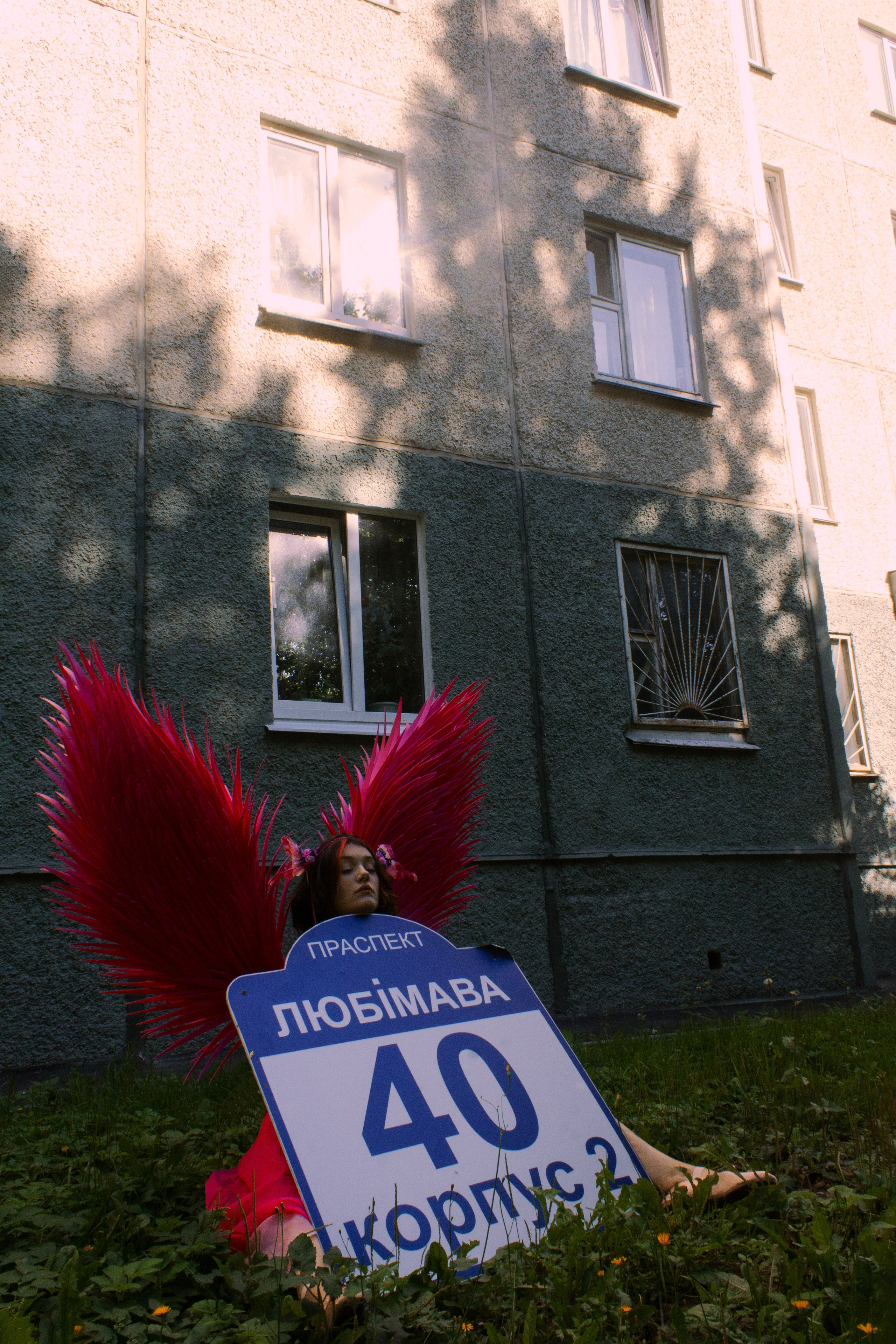 Земля под розовыми крыльями