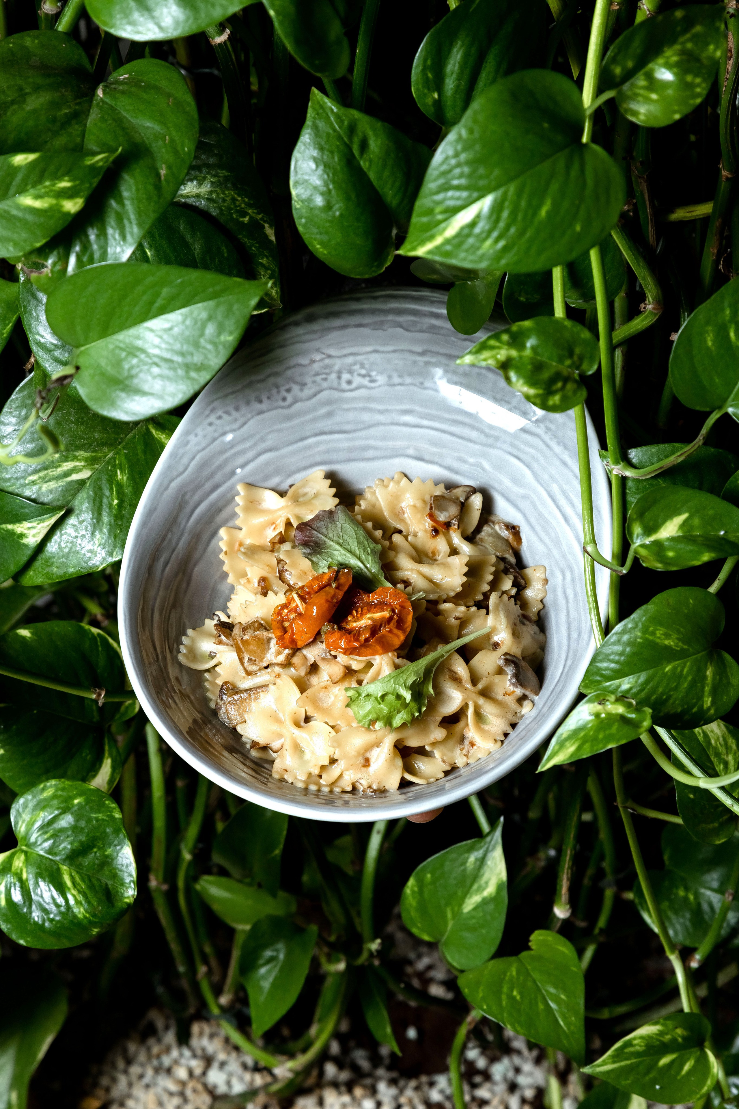 LoftBaksan. Свадебный фотограф в Нальчике Алим Джаппуев