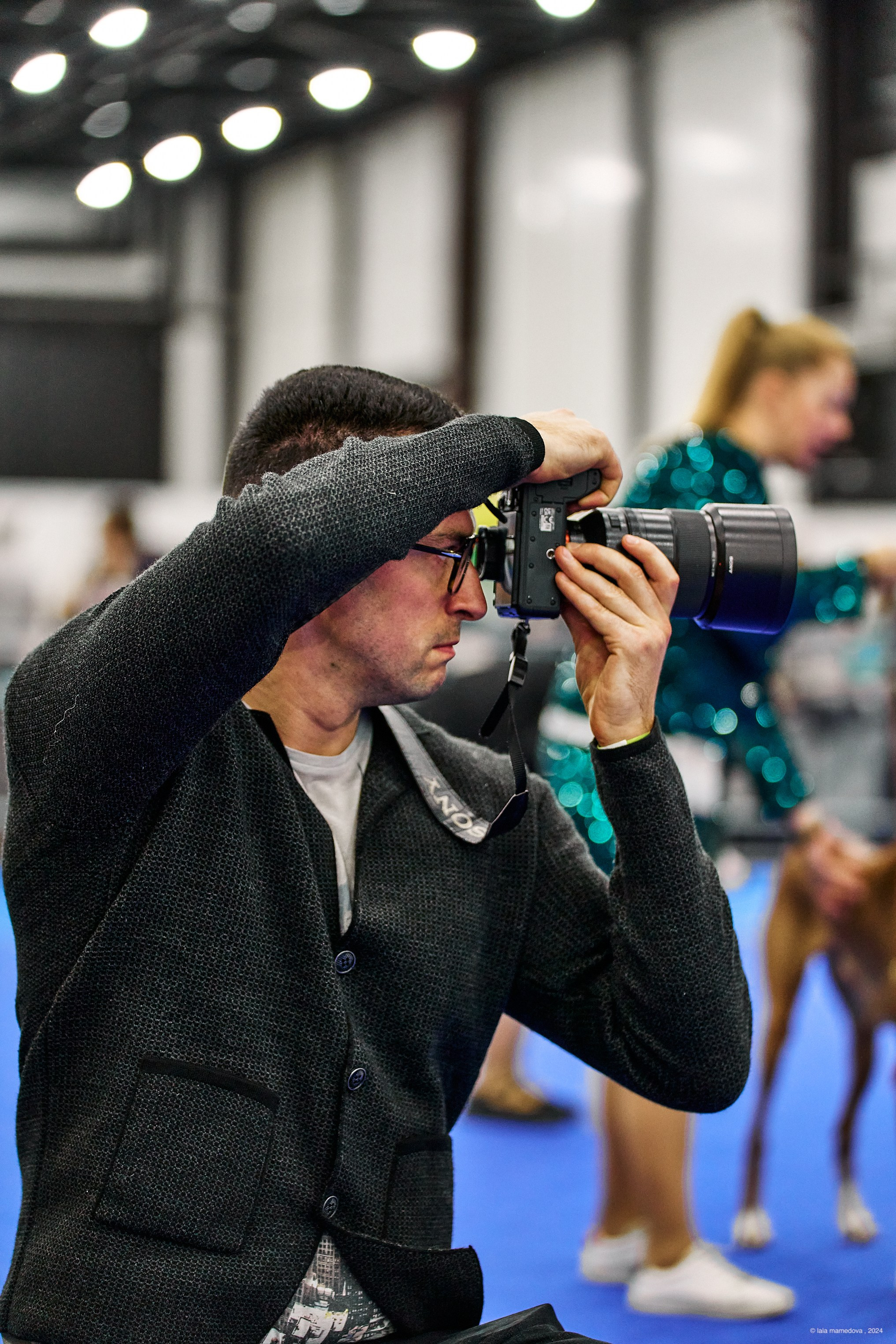 РЕЙТИНГОВАЯ ВЫСТАВКА СОБАК ВСЕХ ПОРОД С ОСОБЫМ СТАТУСОМ"НЕВСКИЙ ПОБЕДИТЕЛЬ-2024-1"