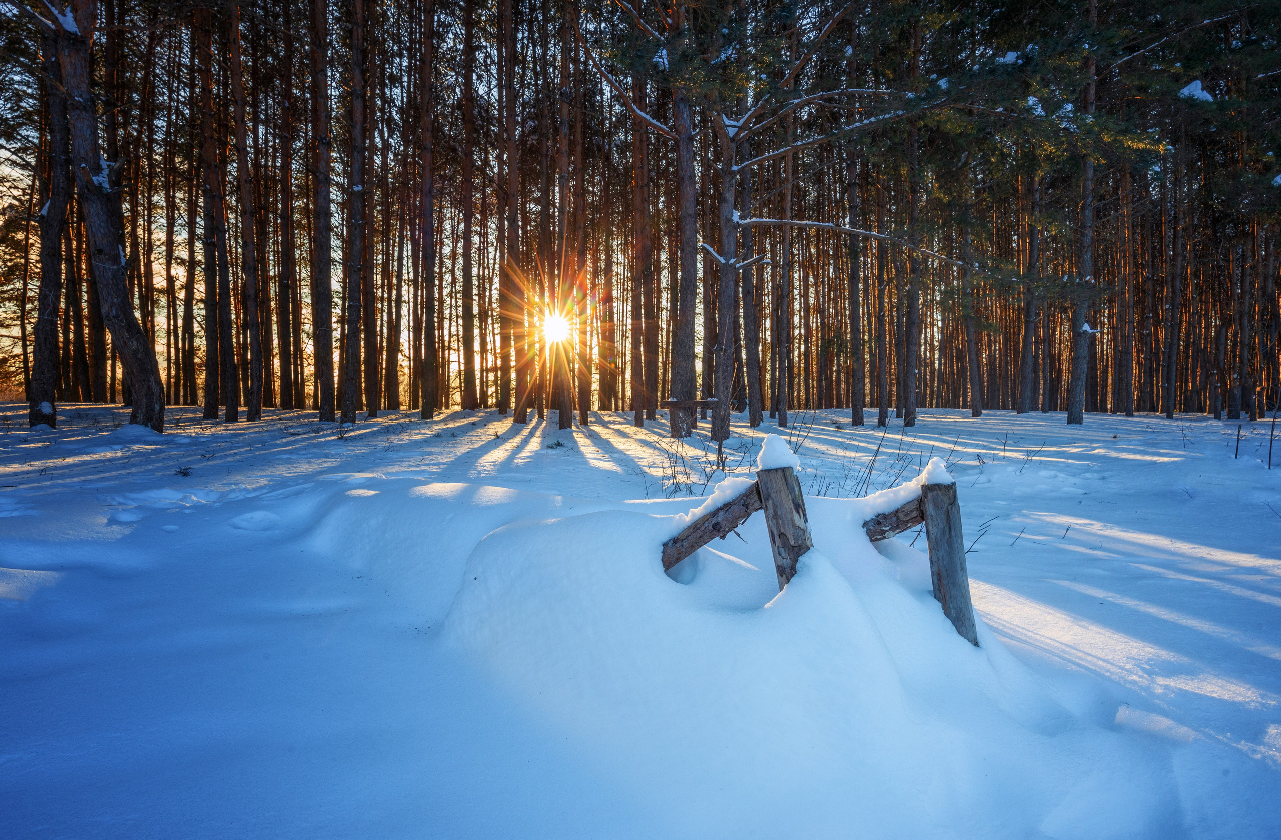 Суворовский район. Фотохудожник Артём Парамонов