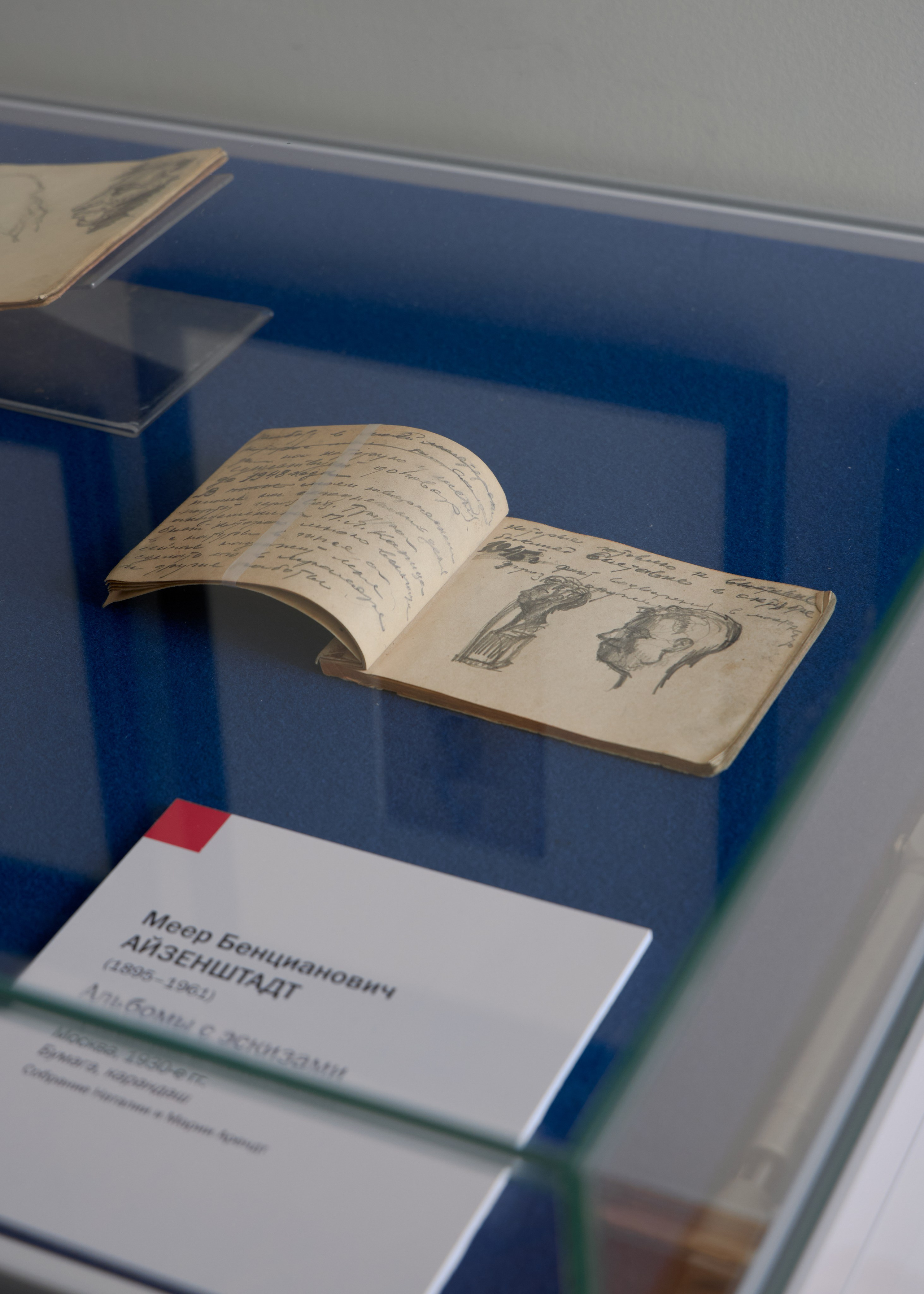 Победа над солнцем: А. С. Пушкин и русский авангард. Mikhail Kurganov