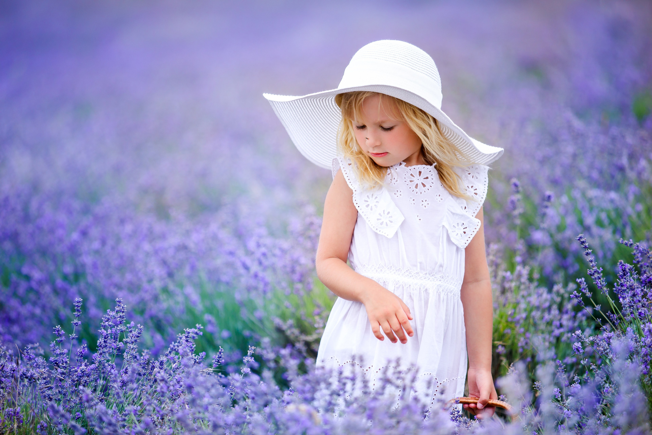 Лаванда. Сказочный фотограф Марьяна Сердюк. Москва, Дмитров и весь мир