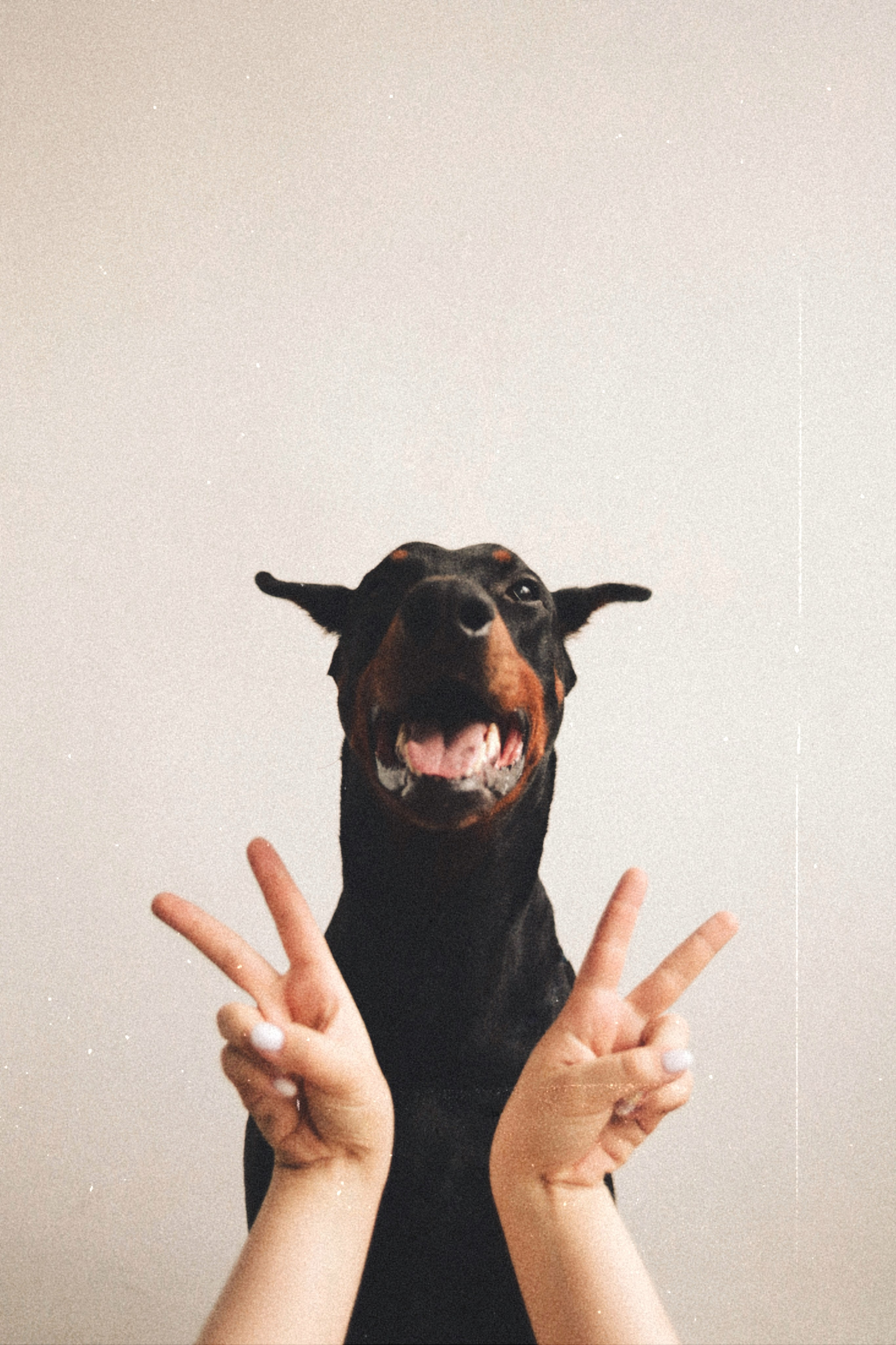 С собаками. Фотограф в Серпухове и Тарусе Ксения Царёва