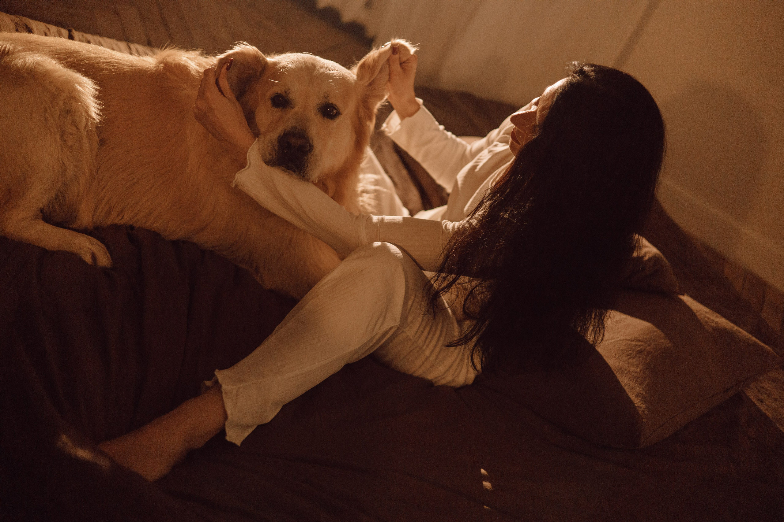 Лёва и его семья. Фотограф — анималист •love-story•|Санкт-Петербург