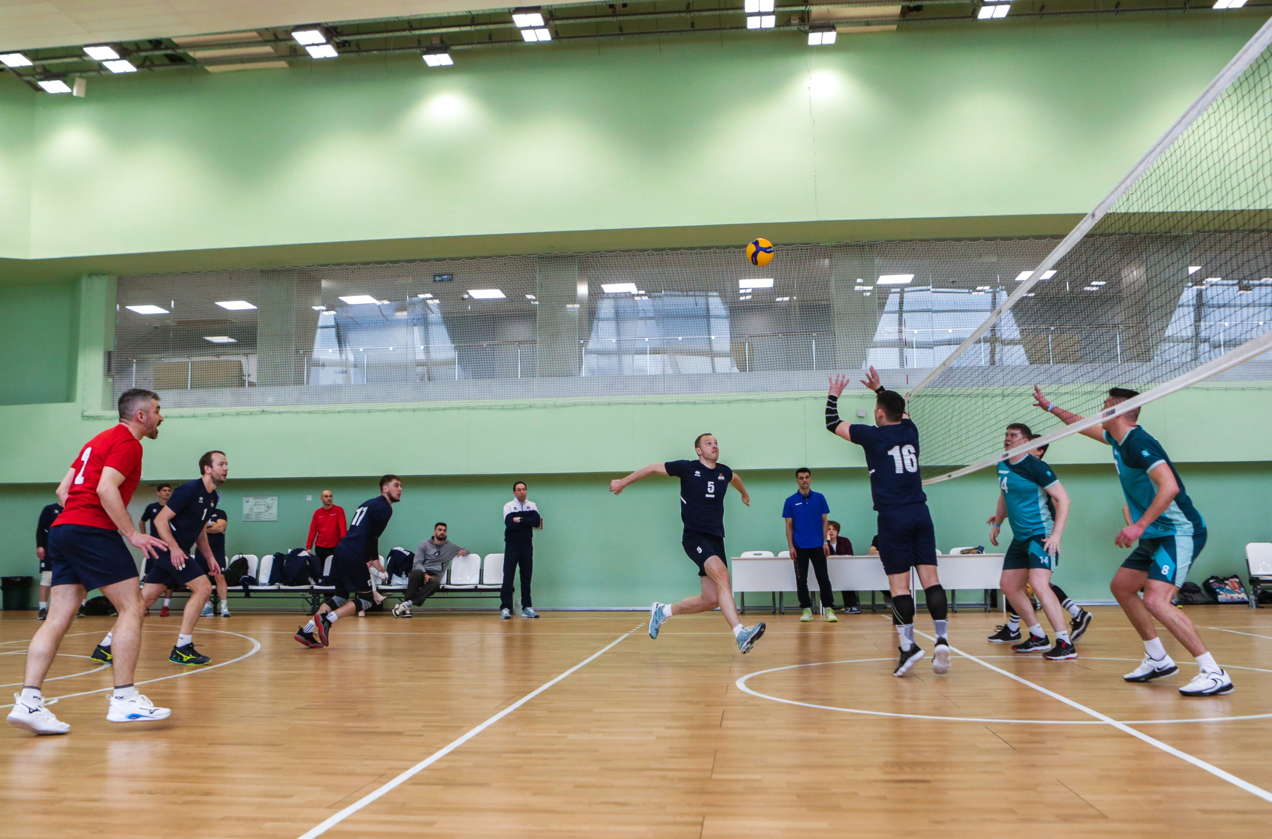 Волейбол. Репортажный, семейный, свадебный, портретный фотограф