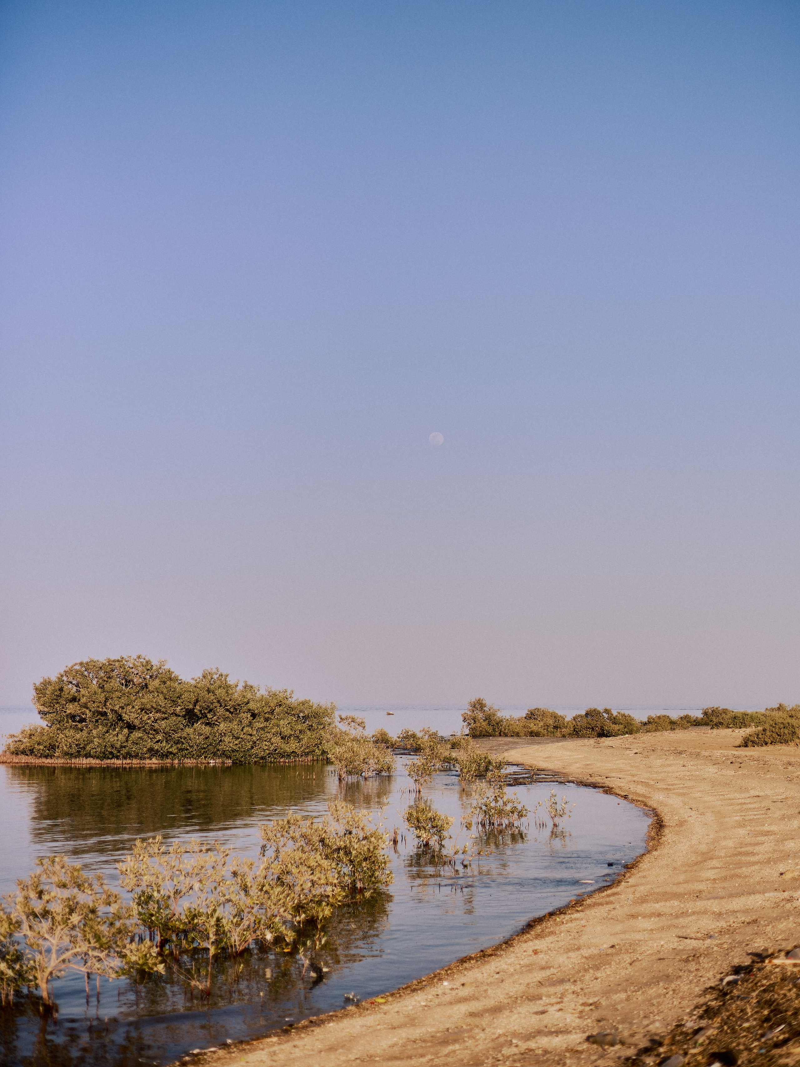 Другое 2. Jorgis Talè — photographer, kind person, teacher of arts and other mag