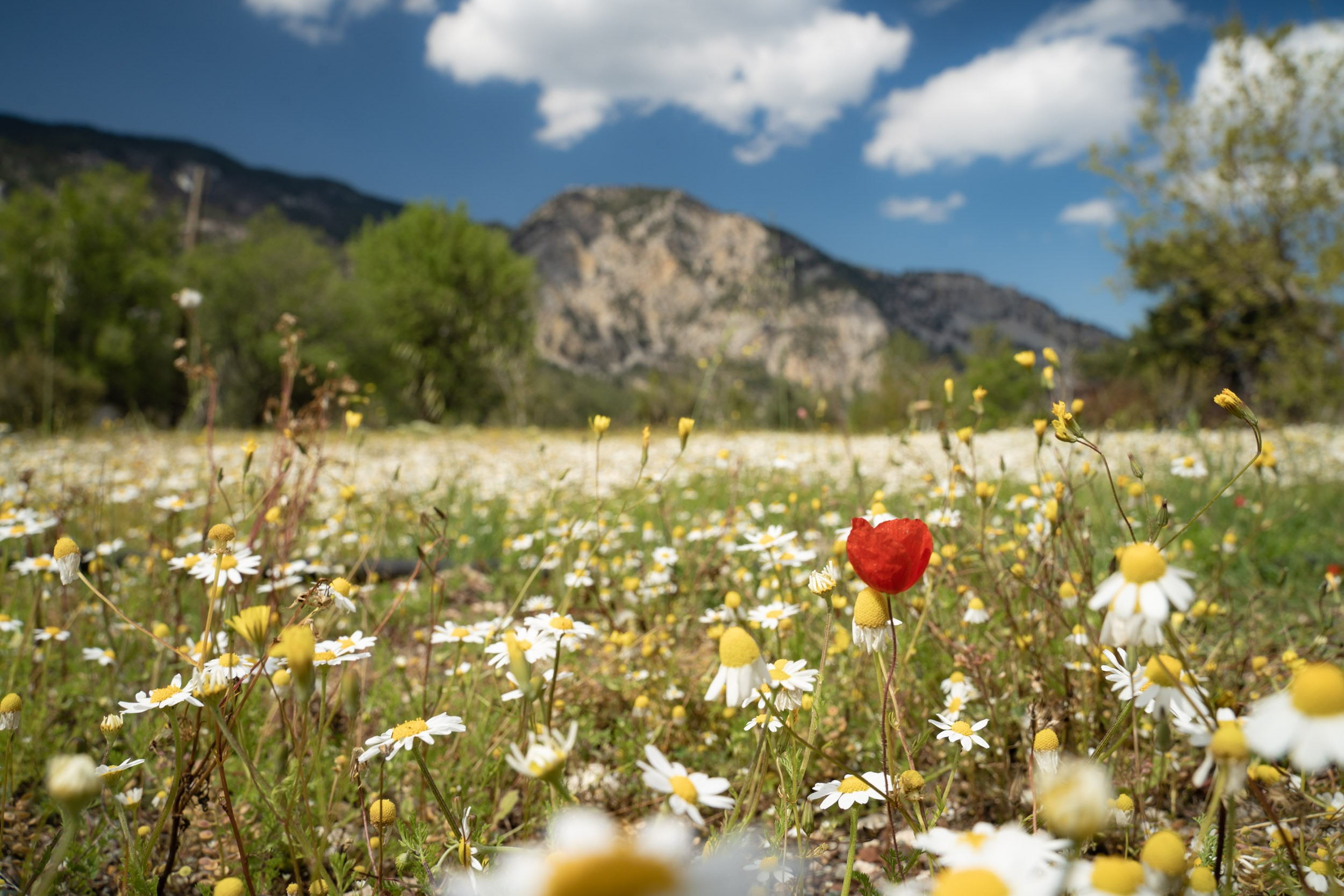 Турция. Восточная Ликийская тропа. Фотограф в поход и восхождение на Эльбрус Игорь Косарев