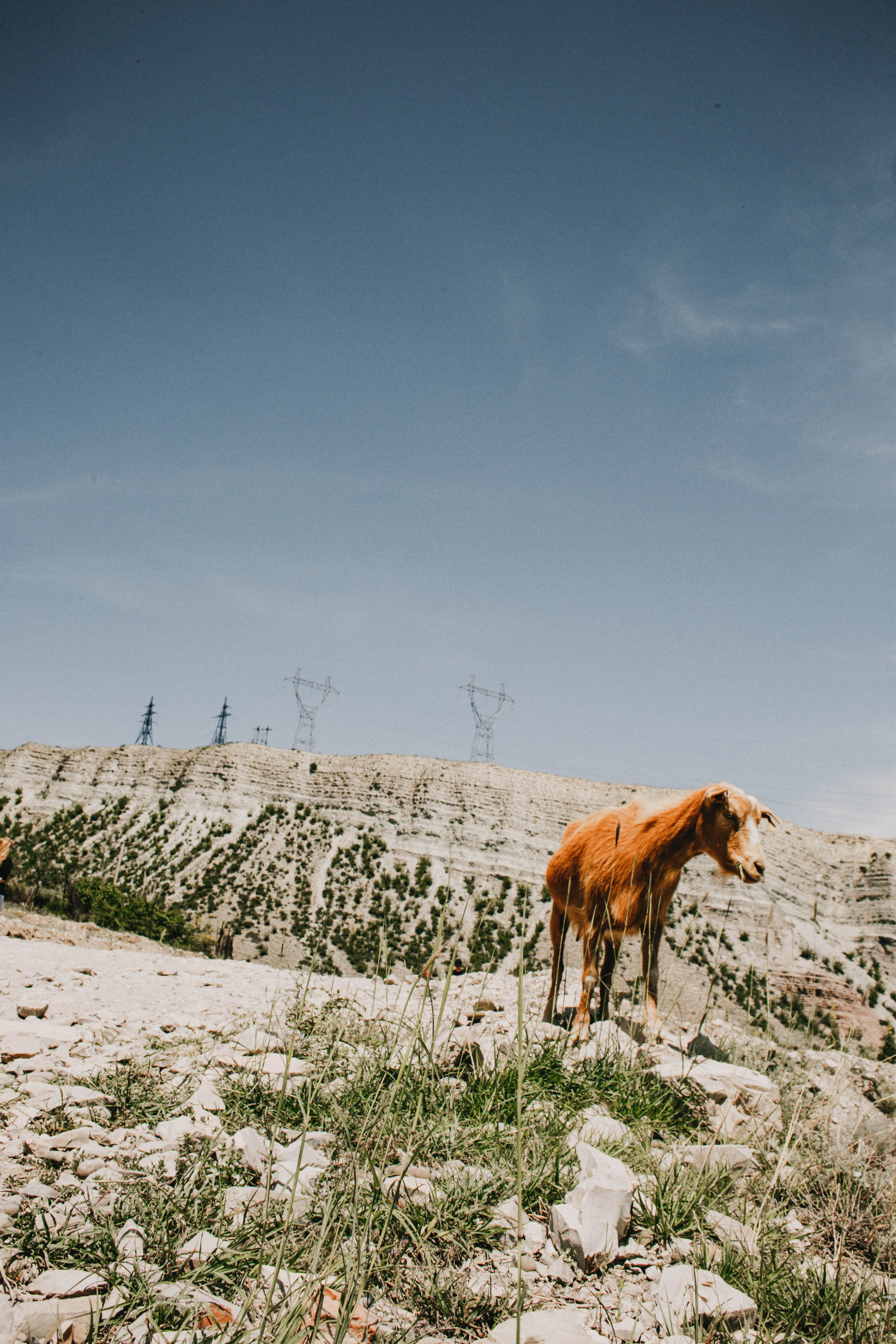 Дагестан. Чечня. 2024. Фотограф в Нижнем Новгороде