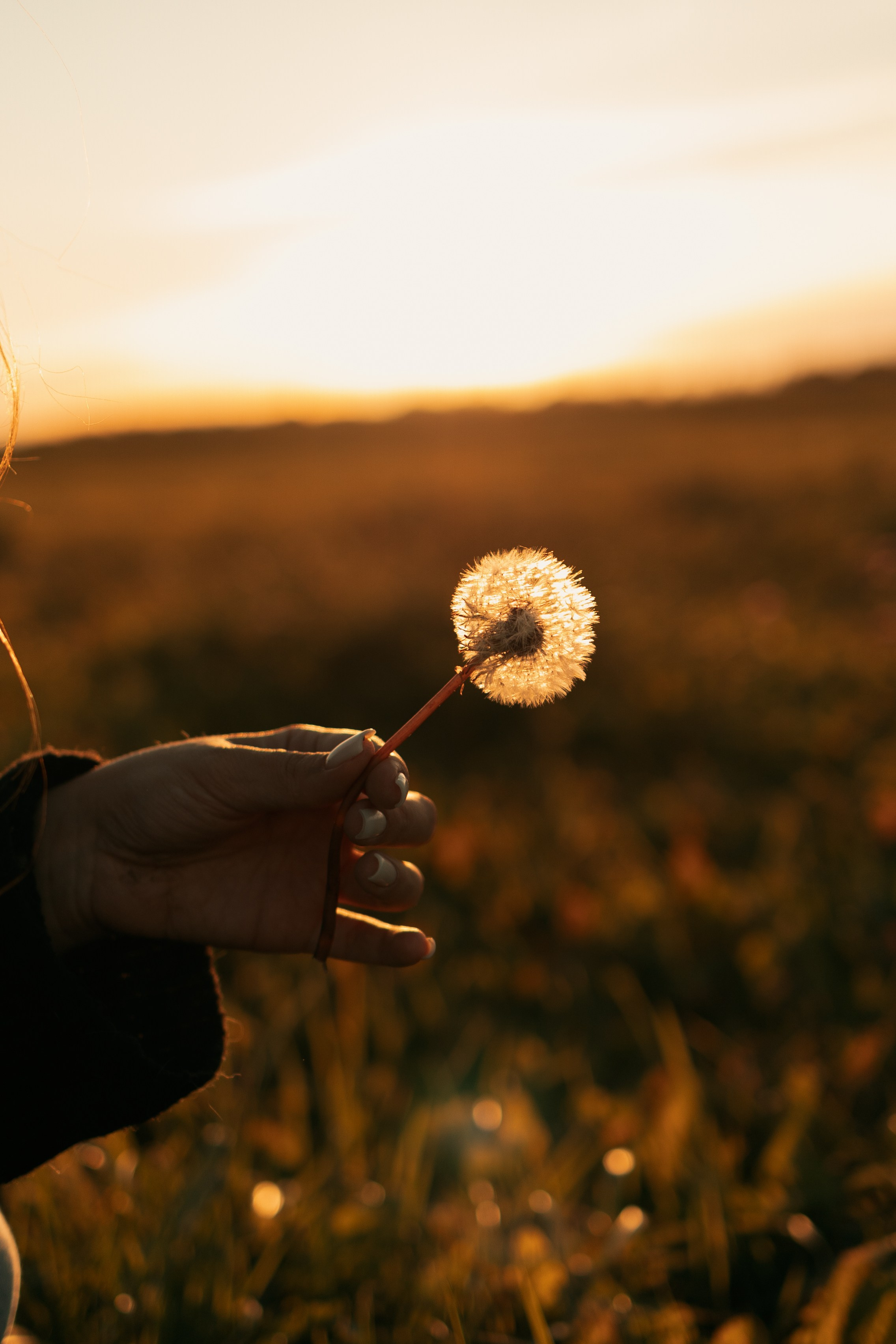 Лера и Скай. Фотограф — Анималист | Санкт-Петербург