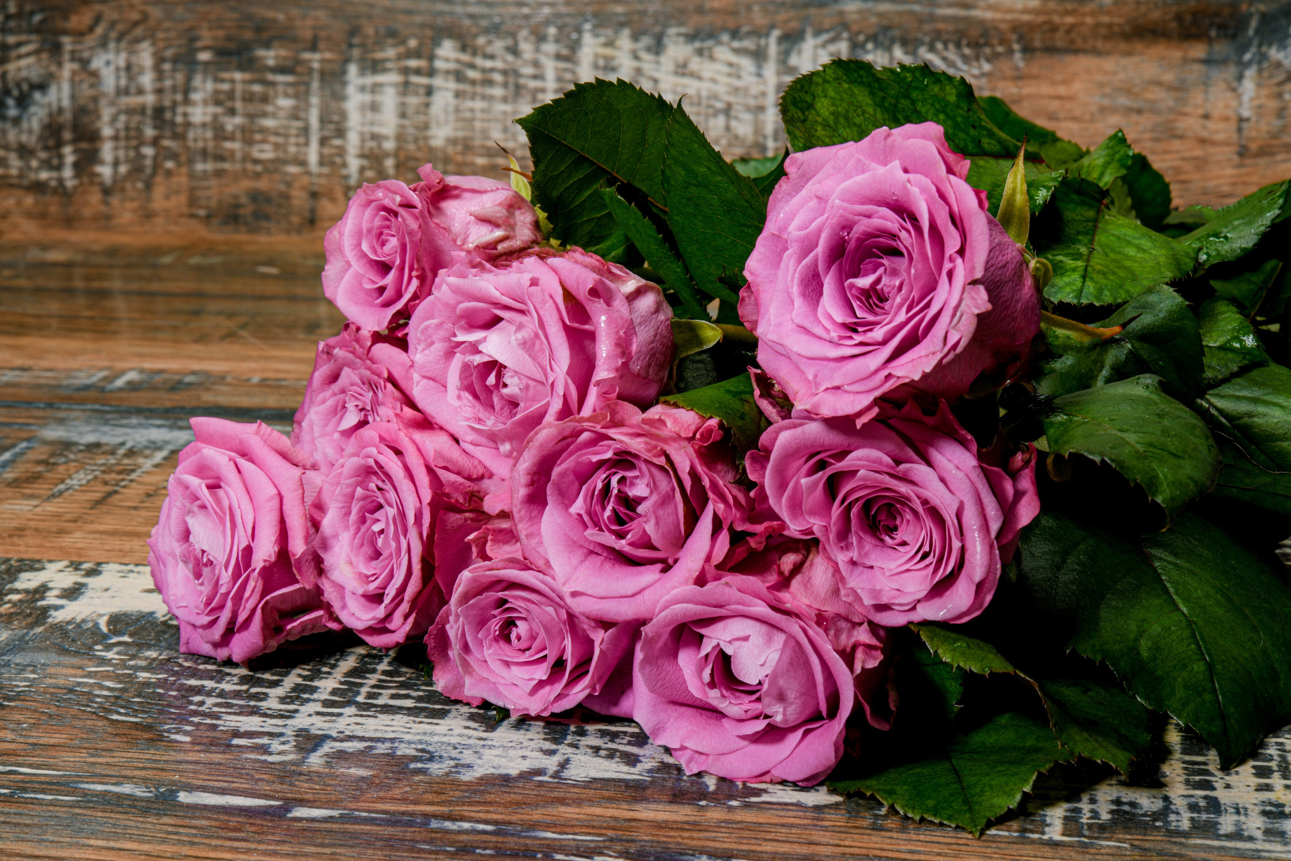 Предметная фото и видео съемка. Арт студия «Пегас». Фото- и видео- съемка