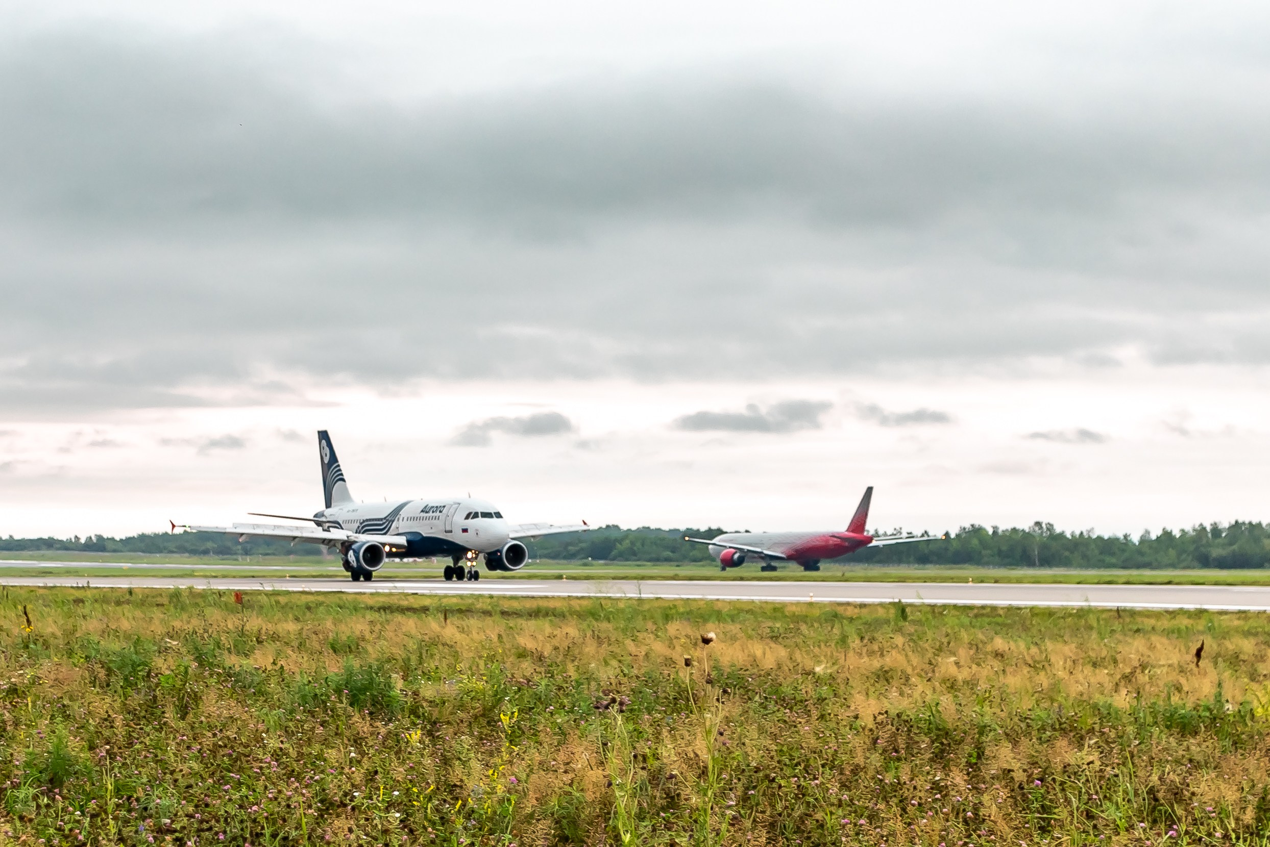Споттинг 2024. Семейный и детский фотограф в Хабаровске Алевтина Проскурякова