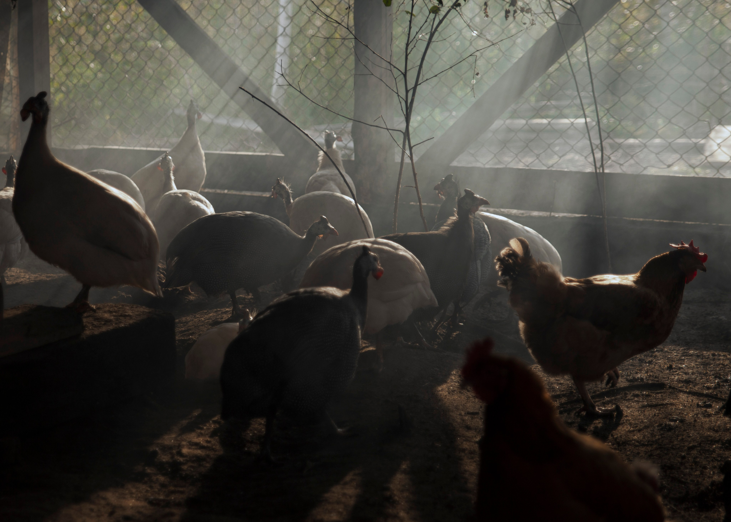 Backstage со съёмок фильма «Reverenсе». Портретный фотограф в Москве Дарья Цезария