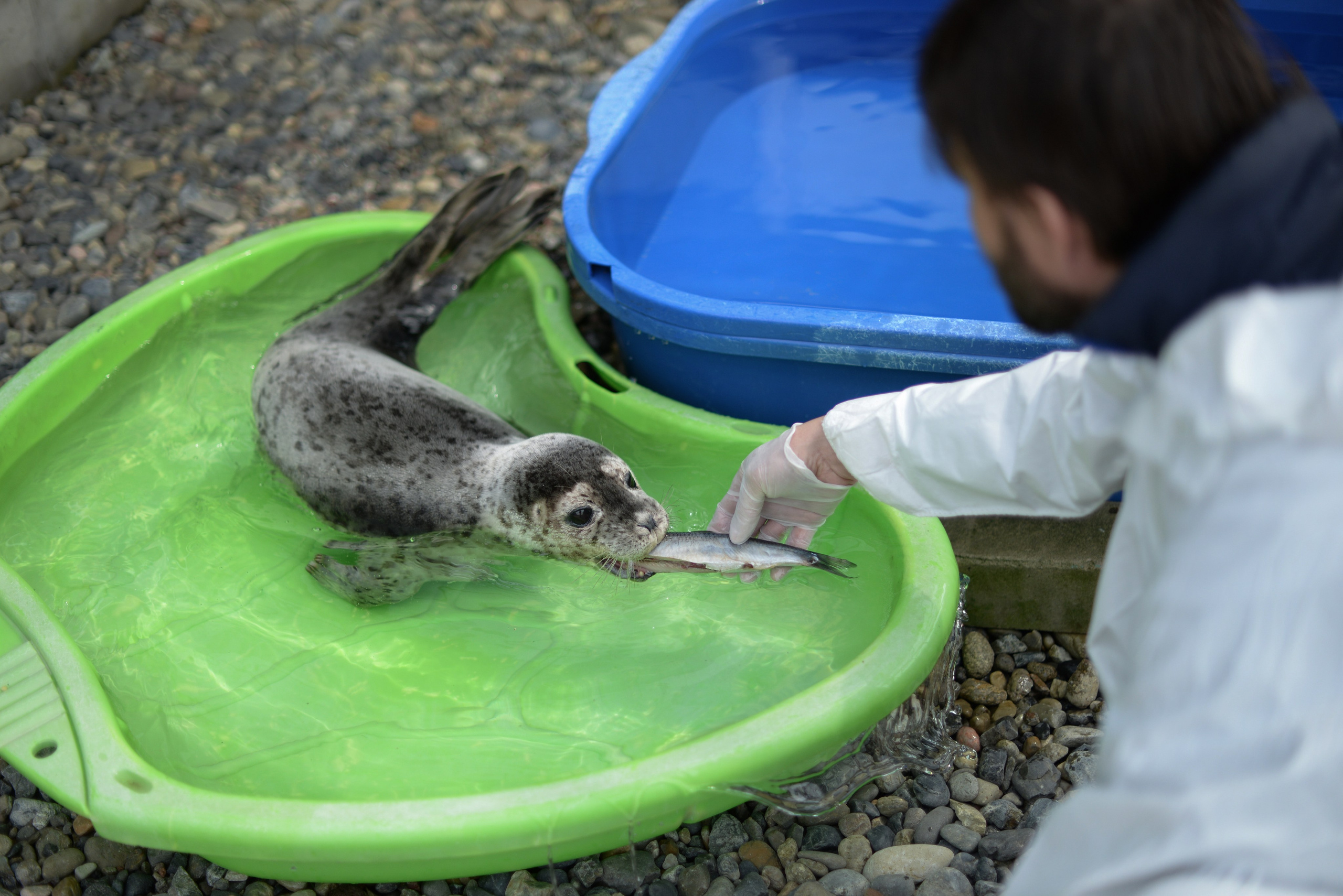 Фотожурналистика. Дарья Пянзина | фотограф |междисциплинарная художница