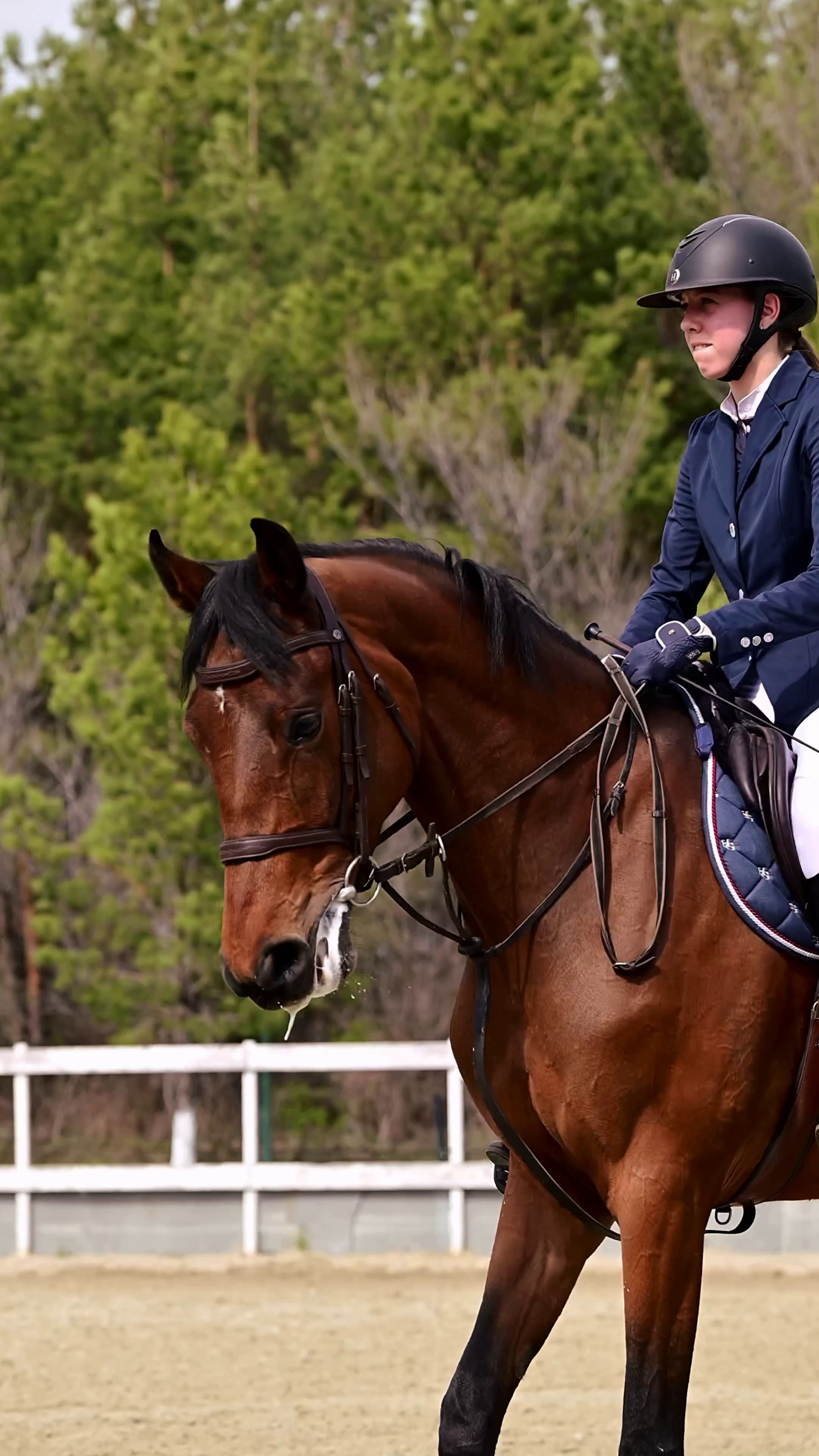Видео Конкур|Рысистые бега. Мила Астахова