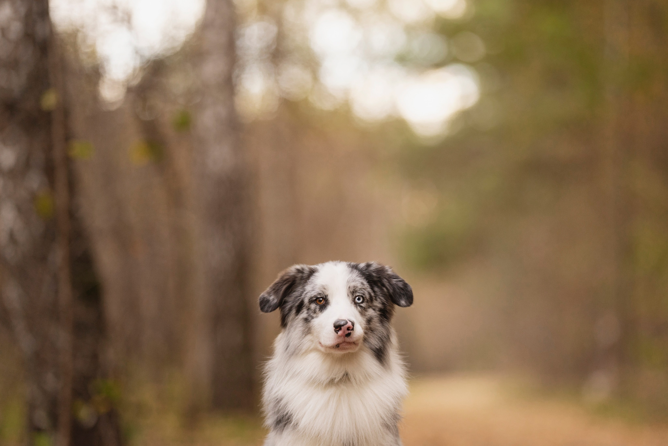 Съемка Альфа. Kameramotor74