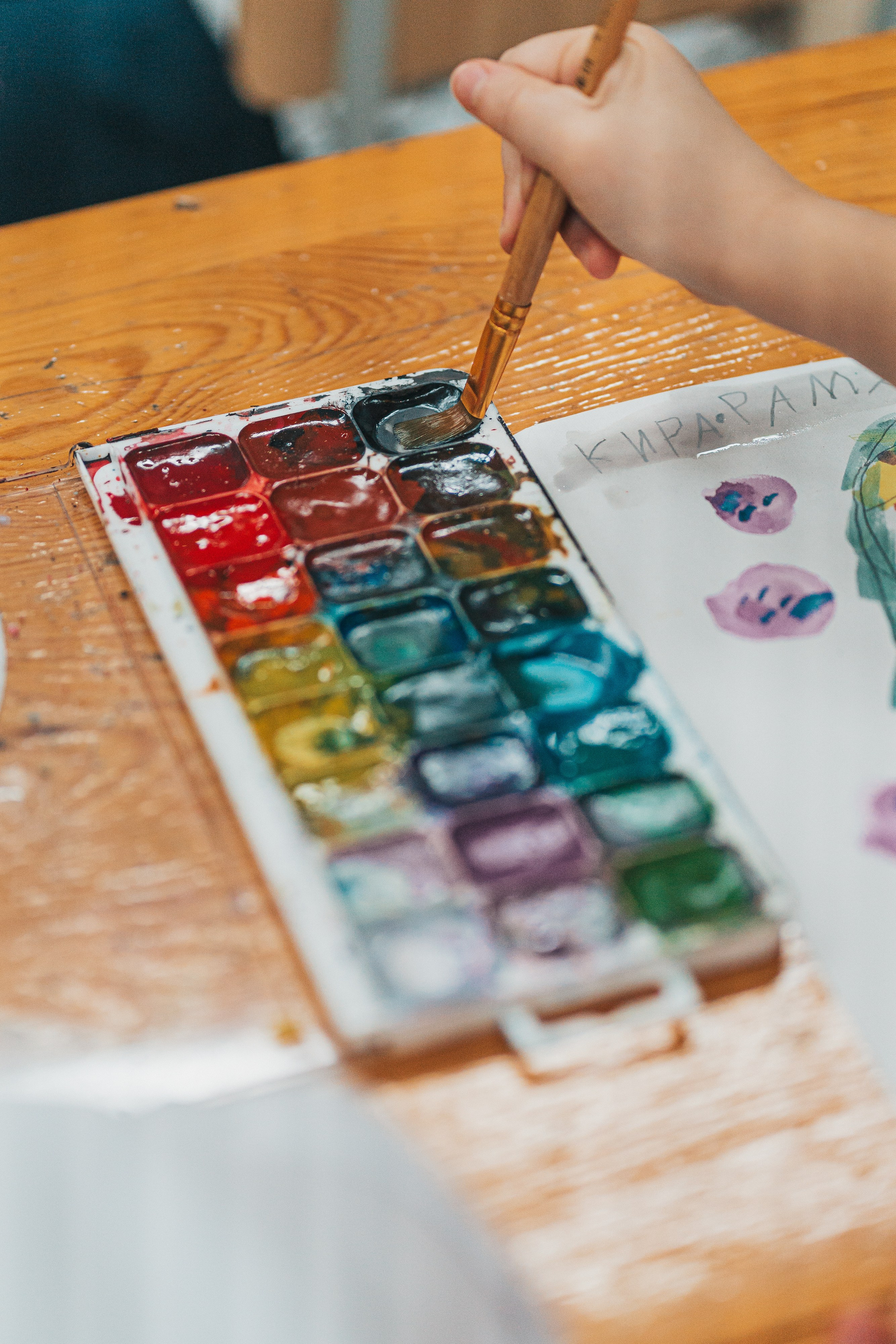 Сад1. Школьные альбомы и альбомы для детского сада. Юлия Осипова. Москва