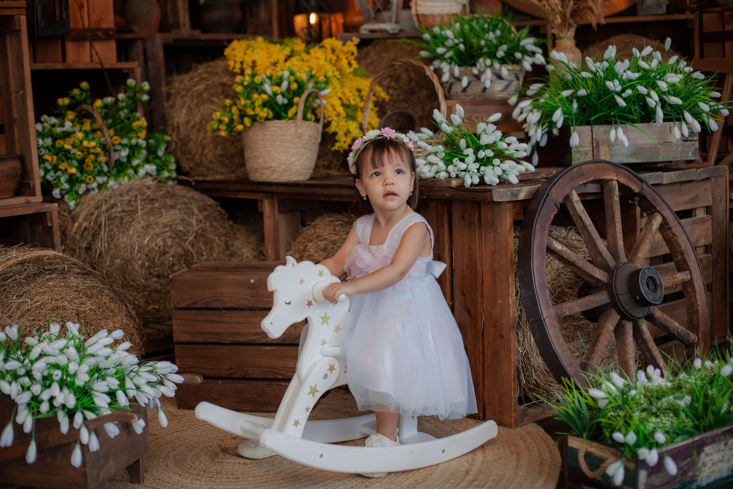 Фотосессия в студии. Детский фотограф, фотограф-анималист