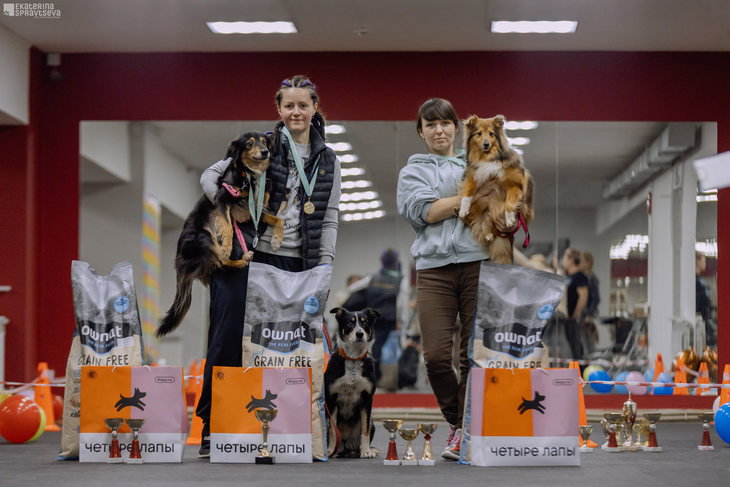 Праздник NoseWork. Фотограф Анималист Екатерина Справцева в Нижнем Новгороде