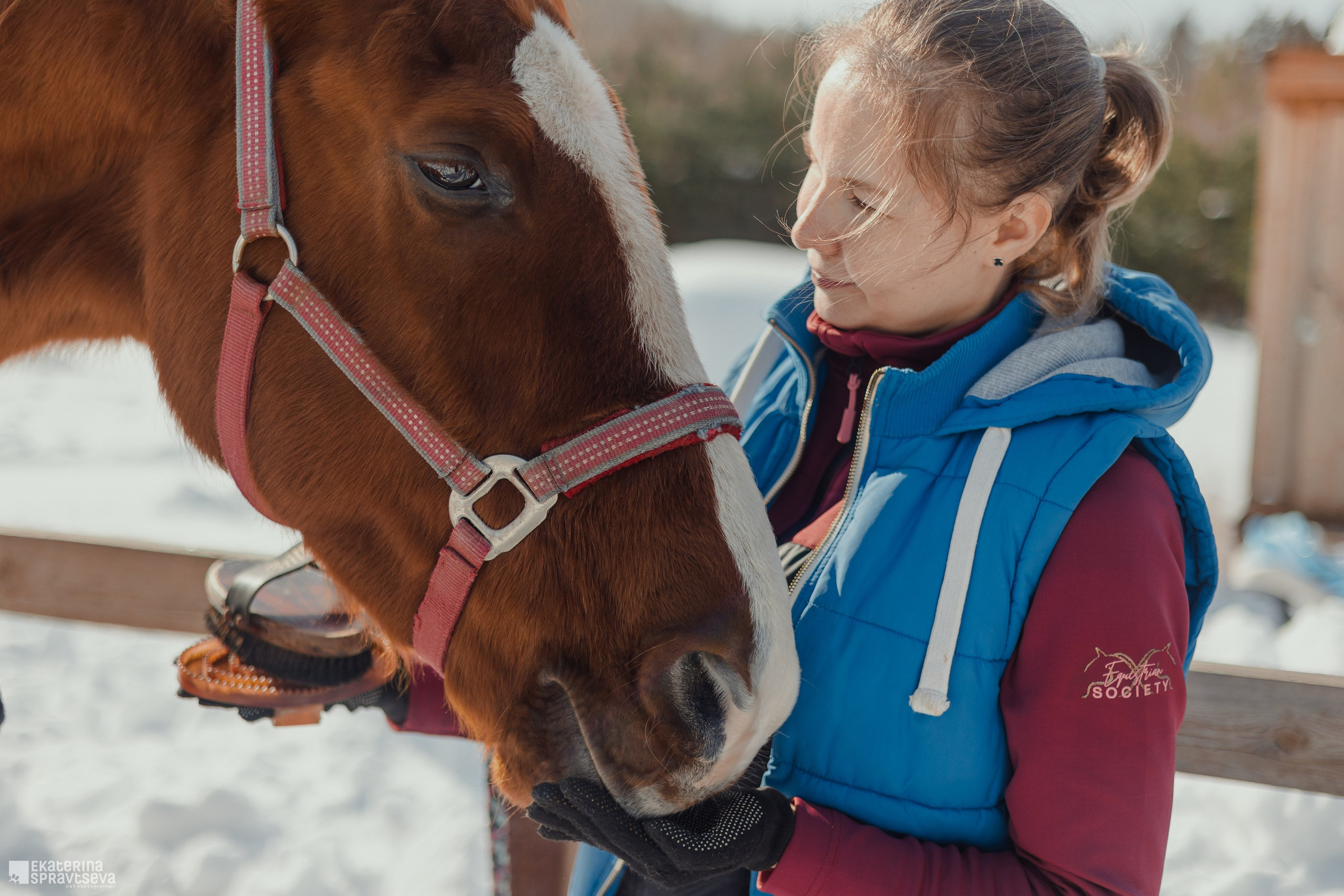 Среди грив и копыт. Фотограф Анималист Екатерина Справцева в Нижнем Новгороде