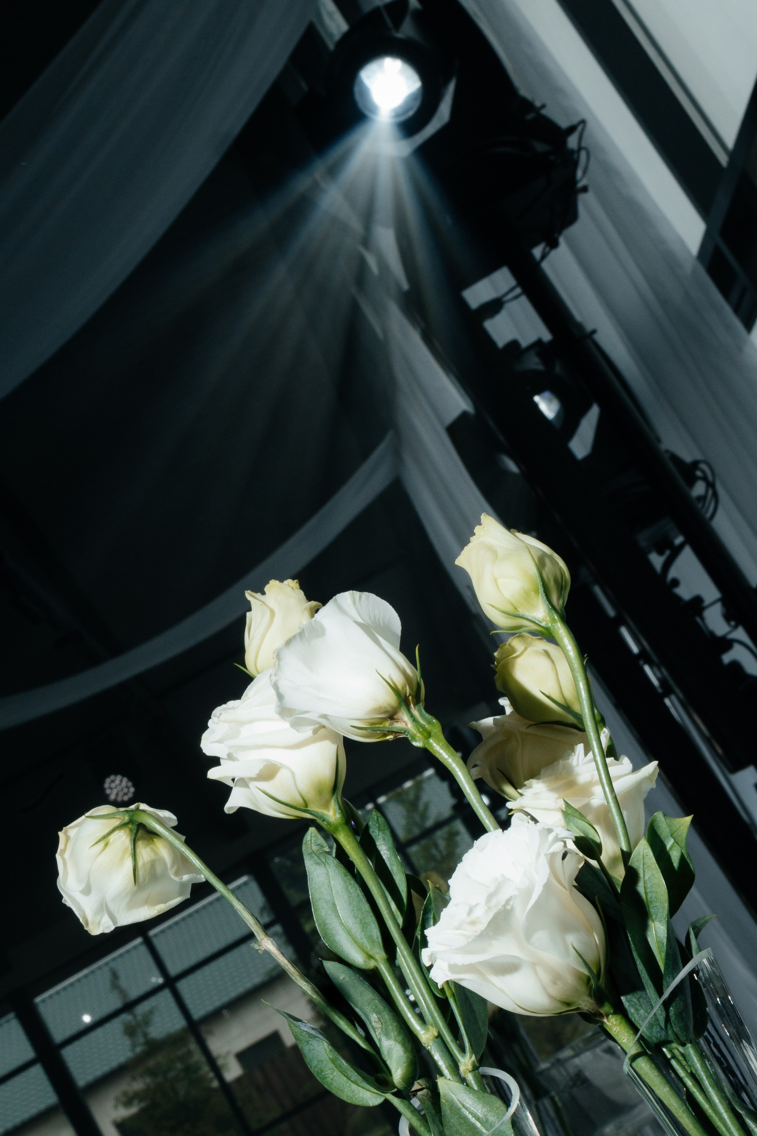 Банкетный зал «Стекло». Фотограф Семён Гнеушев