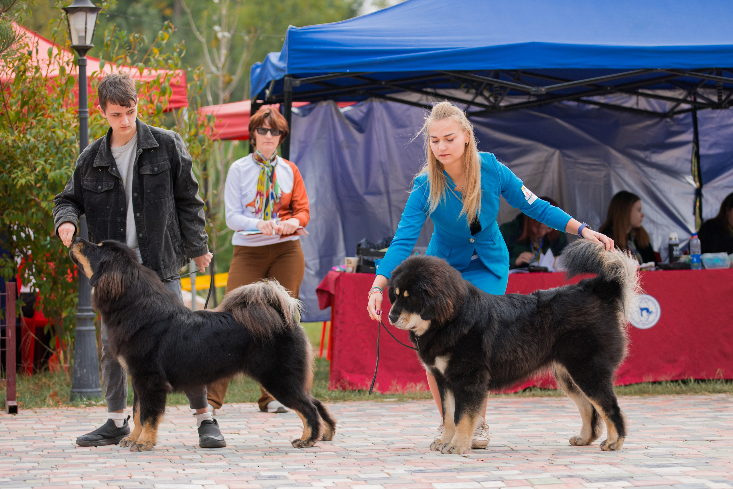 Ташкент 6-8.10.2023 + Алматы 14-15.10.2023. Фотограф-анималист Юлия Германика