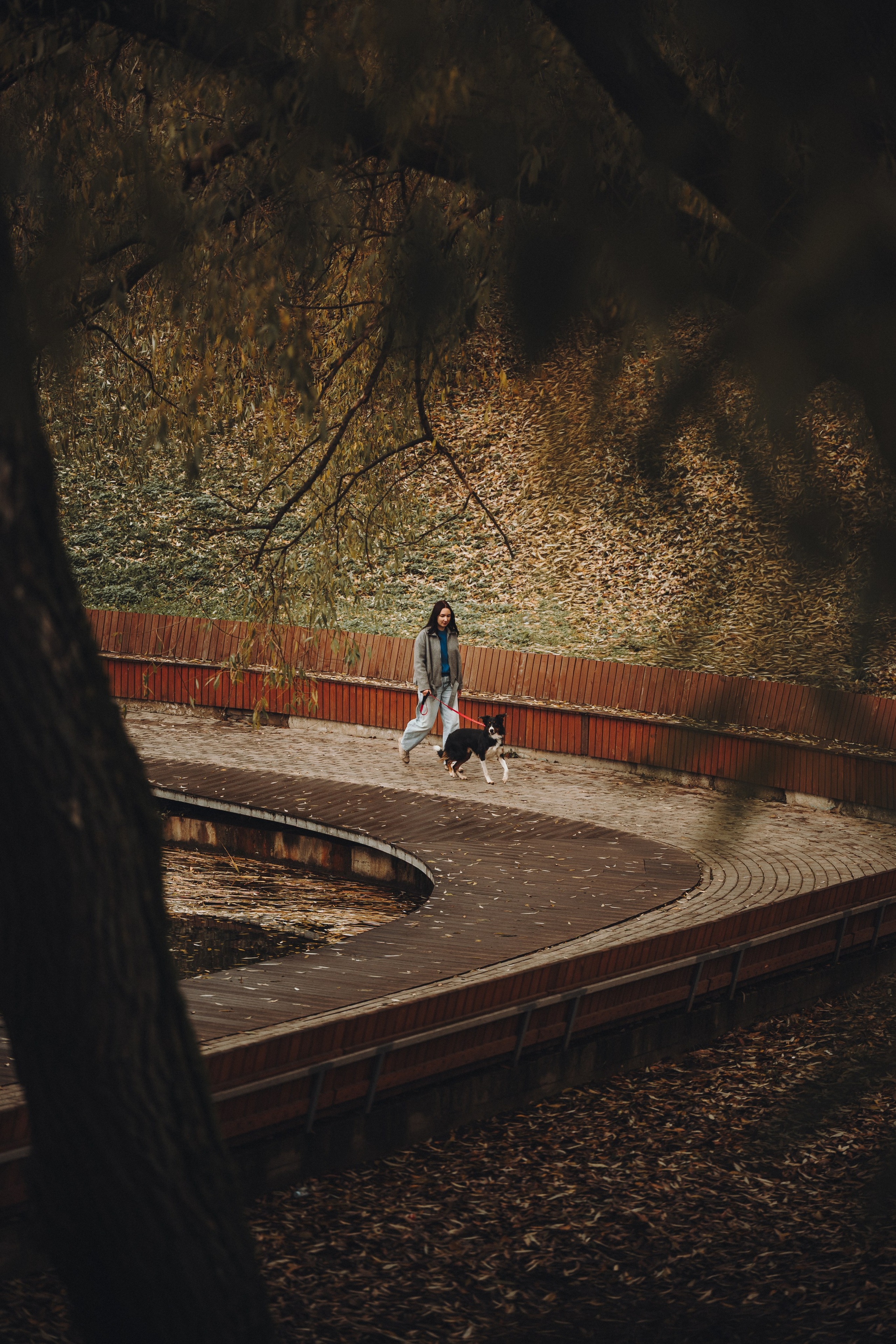 Аня, Оскар и Яр. Семейный фотограф анималист Ананьева Мария — Москва