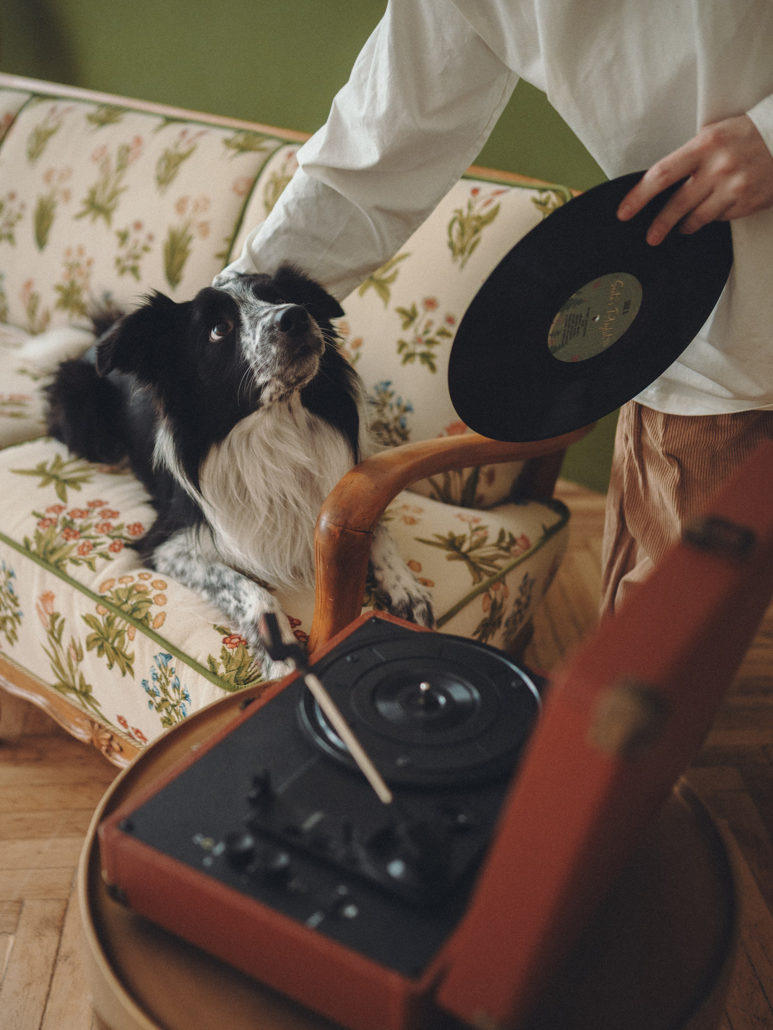 Настя и Рэги. Семейный фотограф анималист Ананьева Мария — Москва