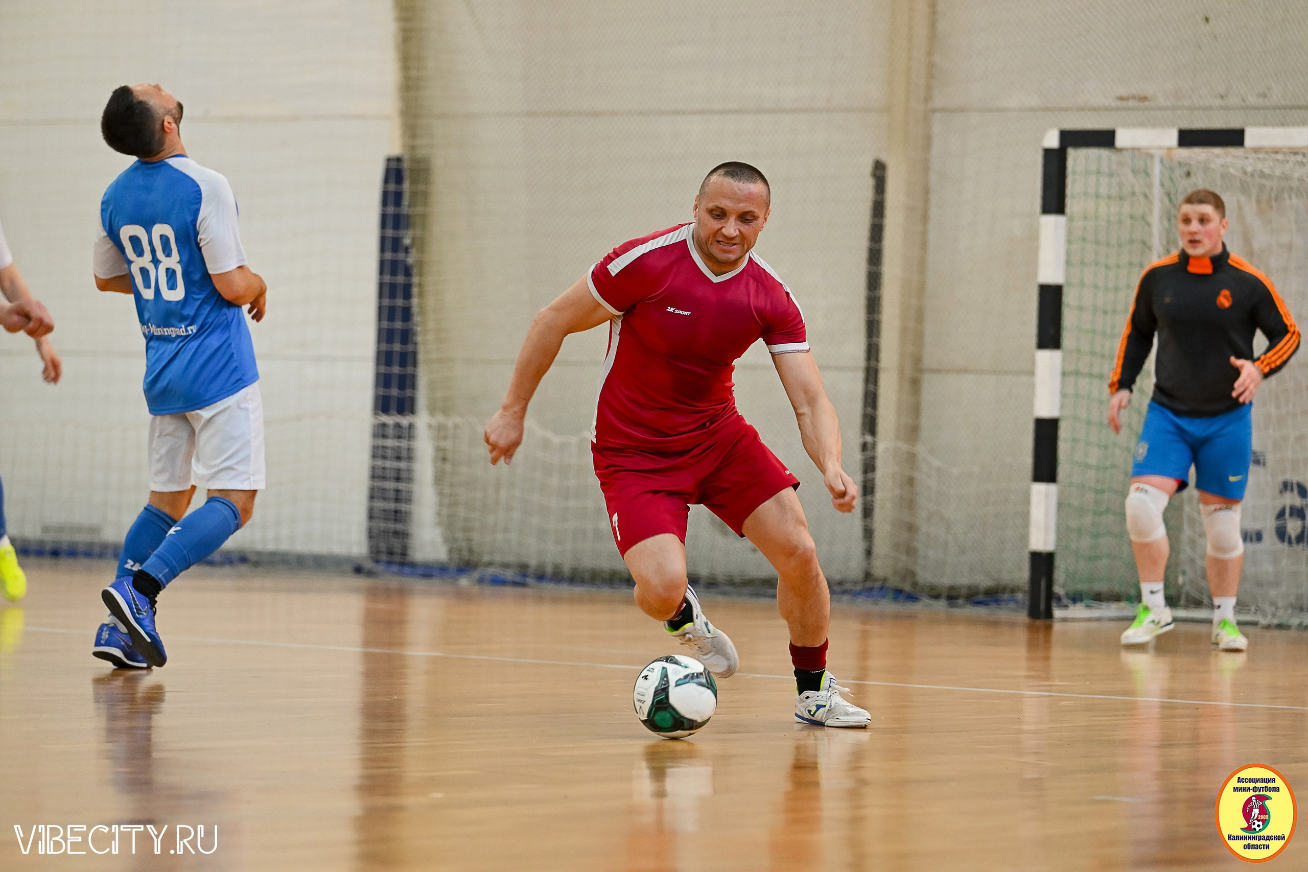 МФЛ СанТермо. VIBECITY.RU Вайб Сити Ру Фоторепортажи Фотоотчеты Калининград