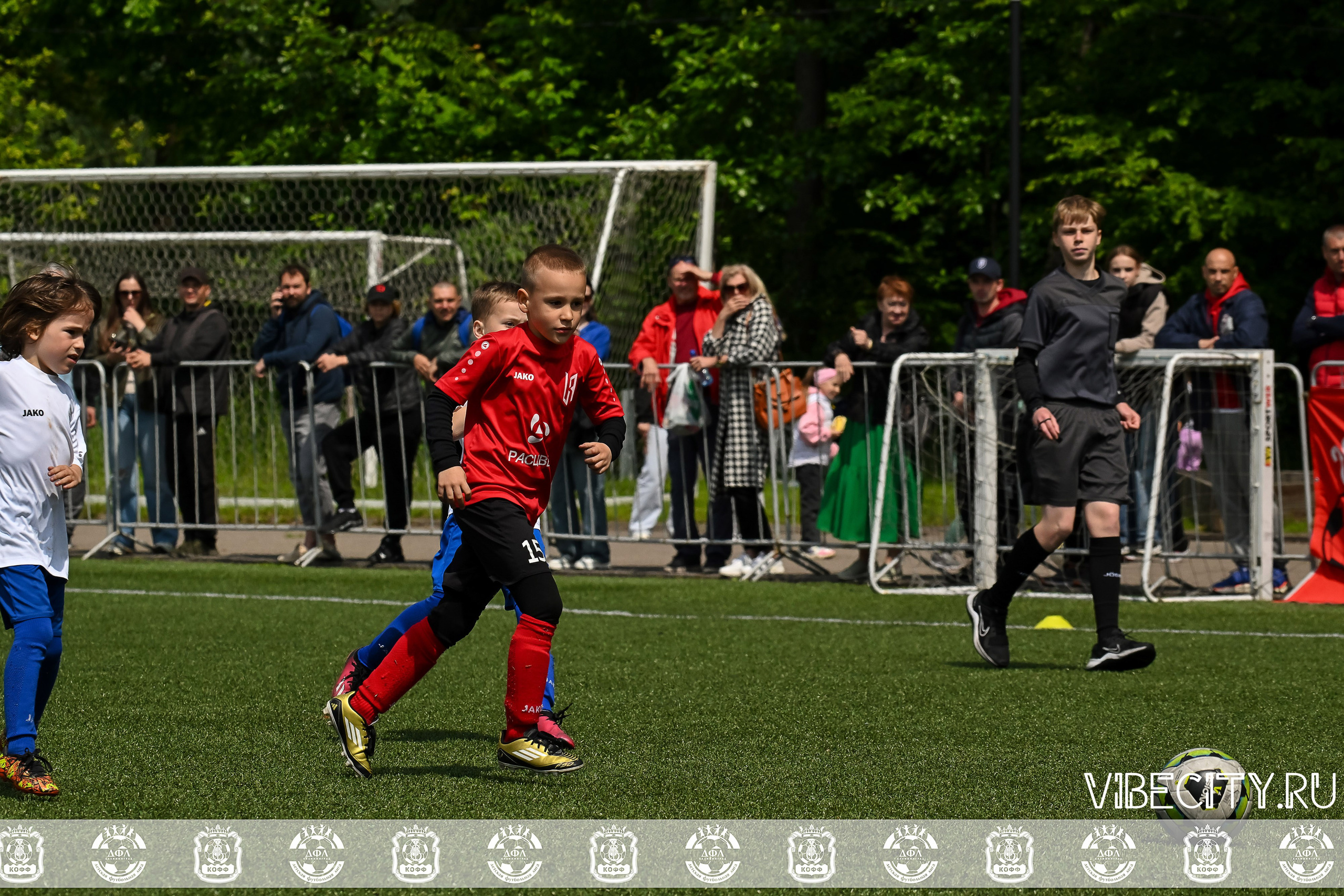 Большие Звезды светят Малым. VIBECITY.RU Вайб Сити Ру Фоторепортажи Фотоотчеты Калининград