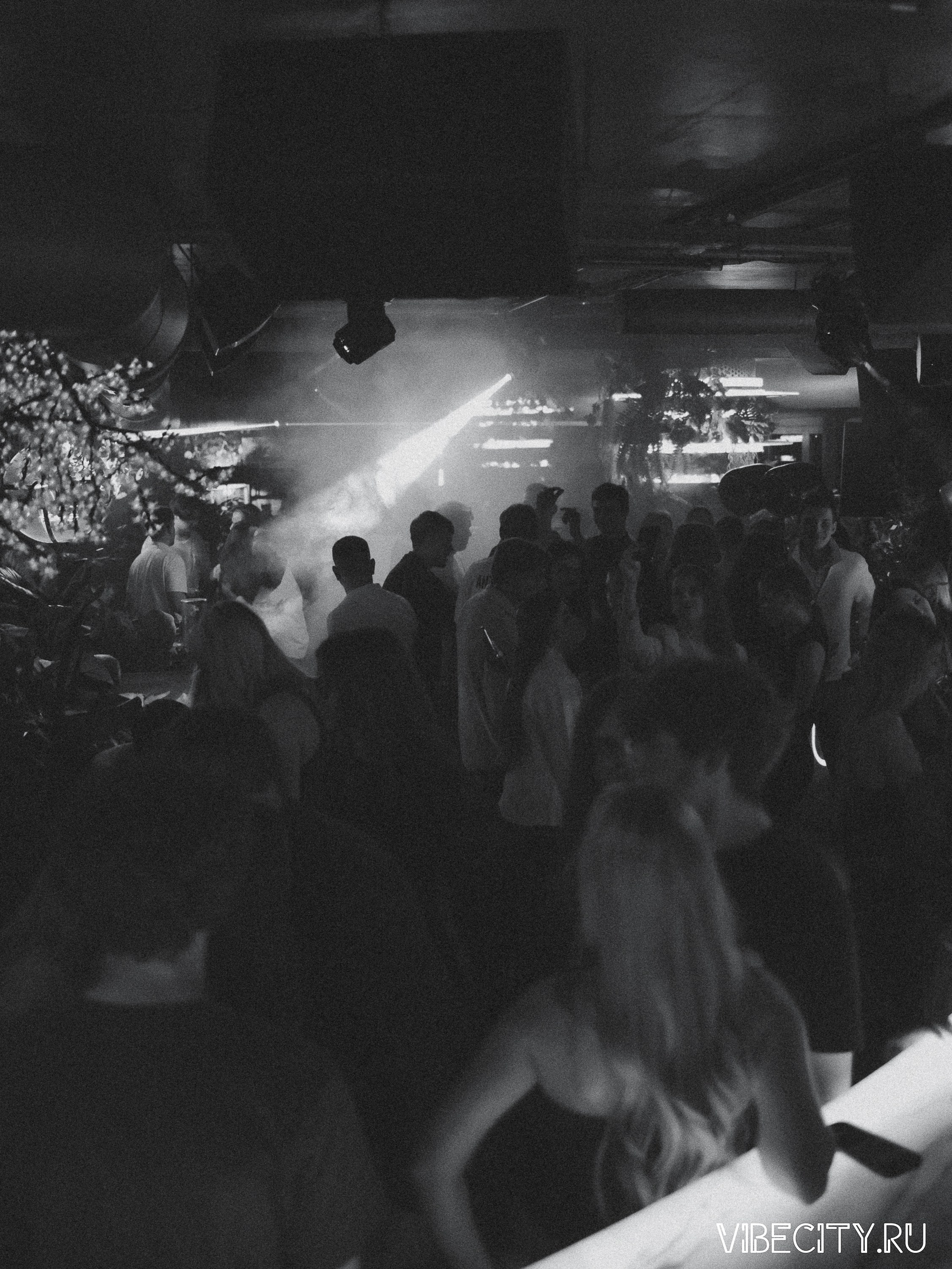 DOUBLE U. VIBECITY.RU Вайб Сити Ру Фоторепортажи Фотоотчеты Калининград